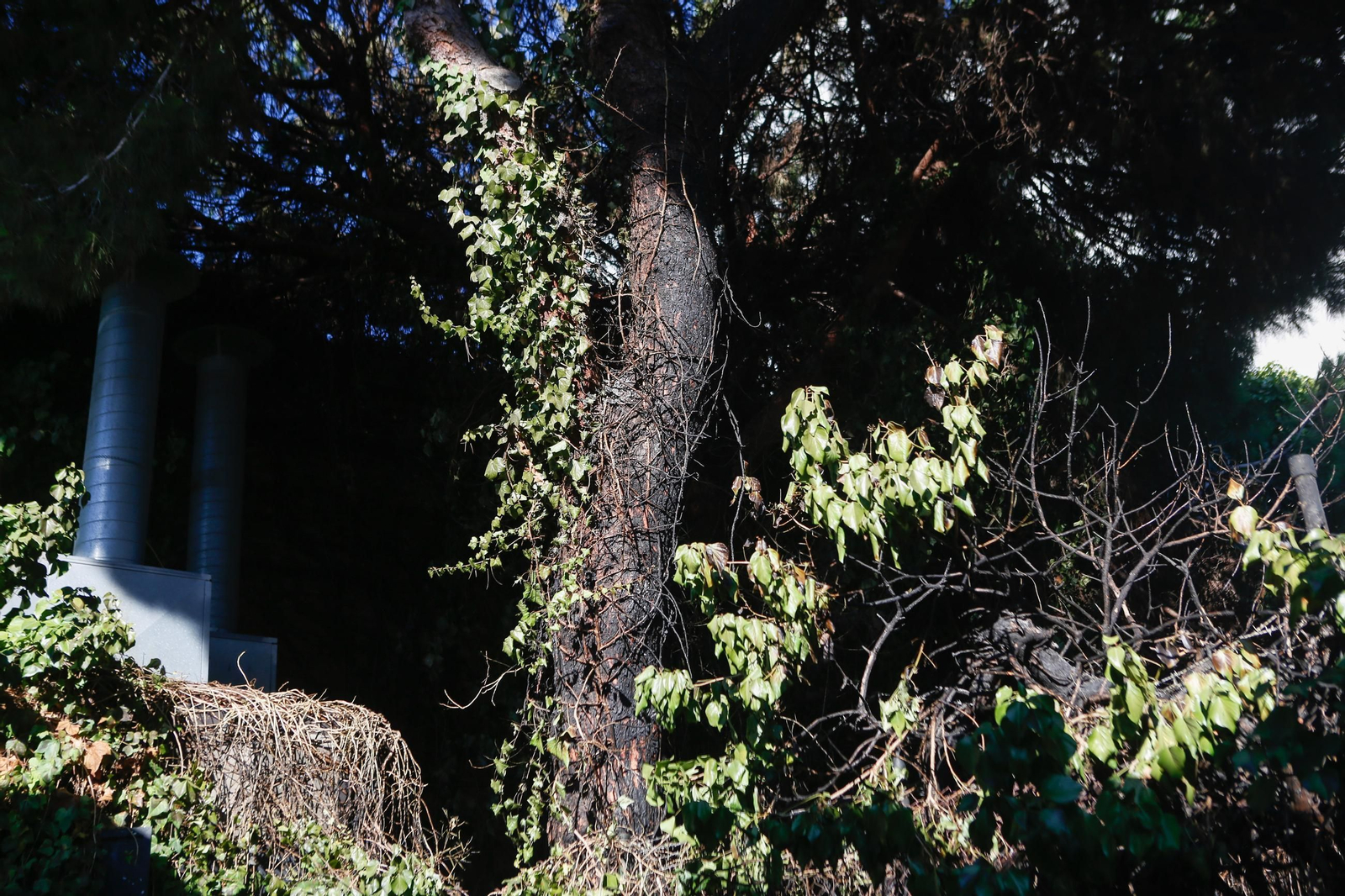Así ha quedado el callejón quemado de madrugada en la calle Sindicalista Luis Cobos de Algeciras
