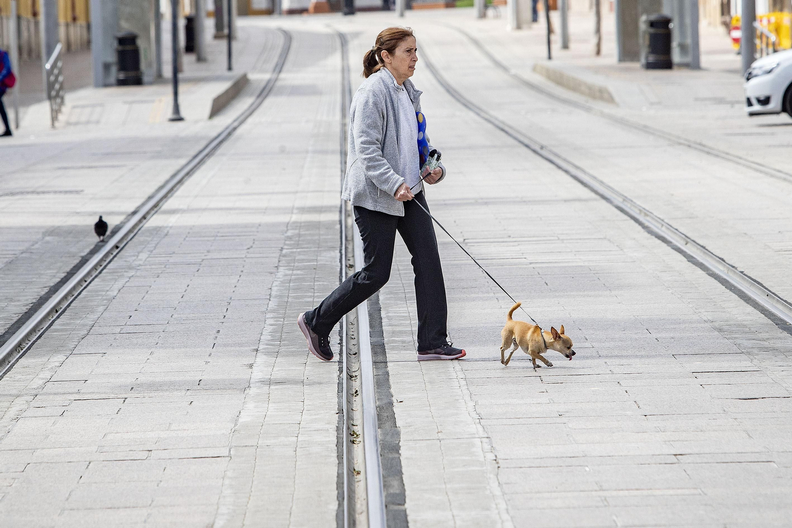 Las imágenes de San Fernando durante el estado de alarma