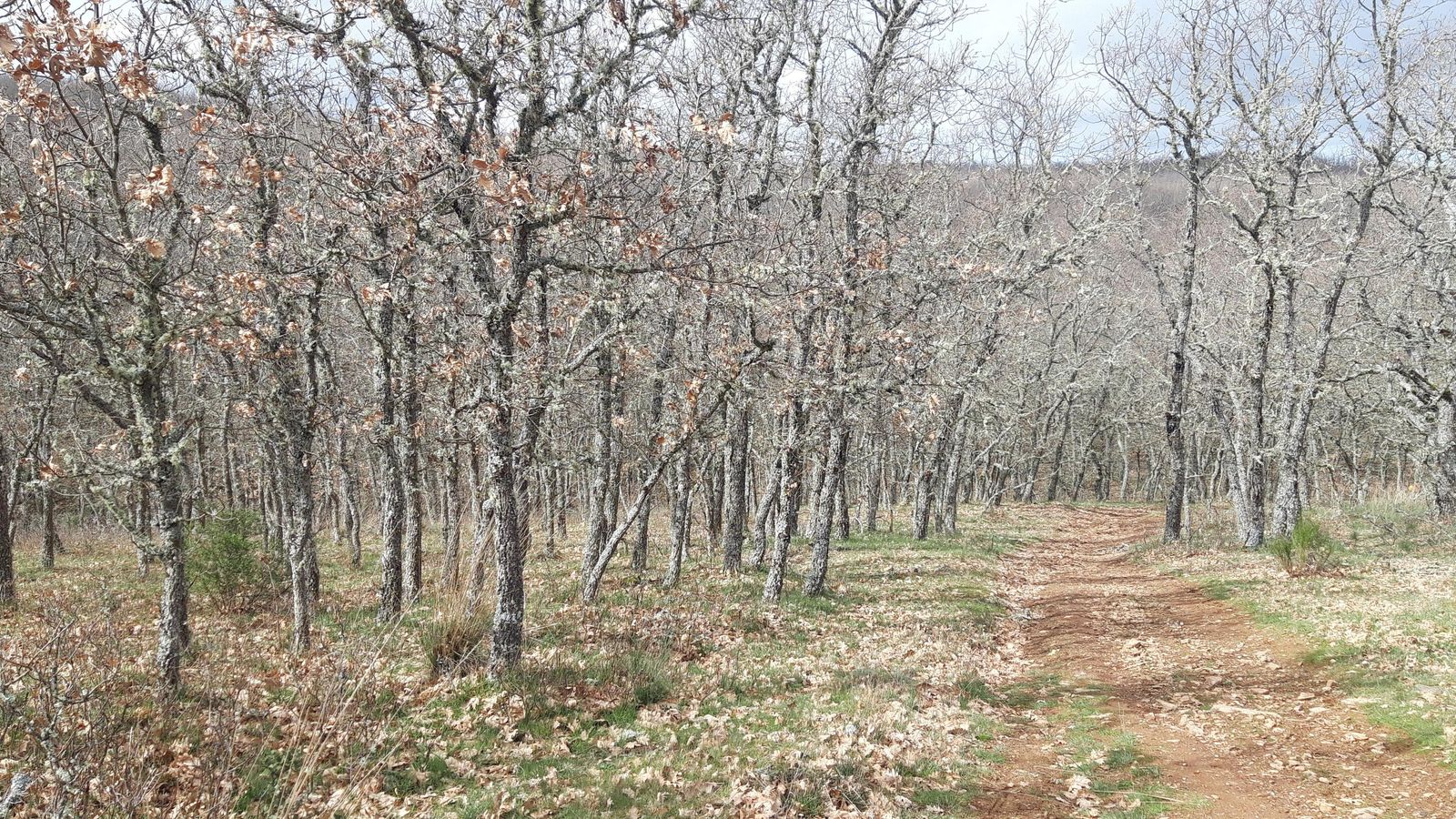 La bajada puede tener algunas rampas pronunciadas.
