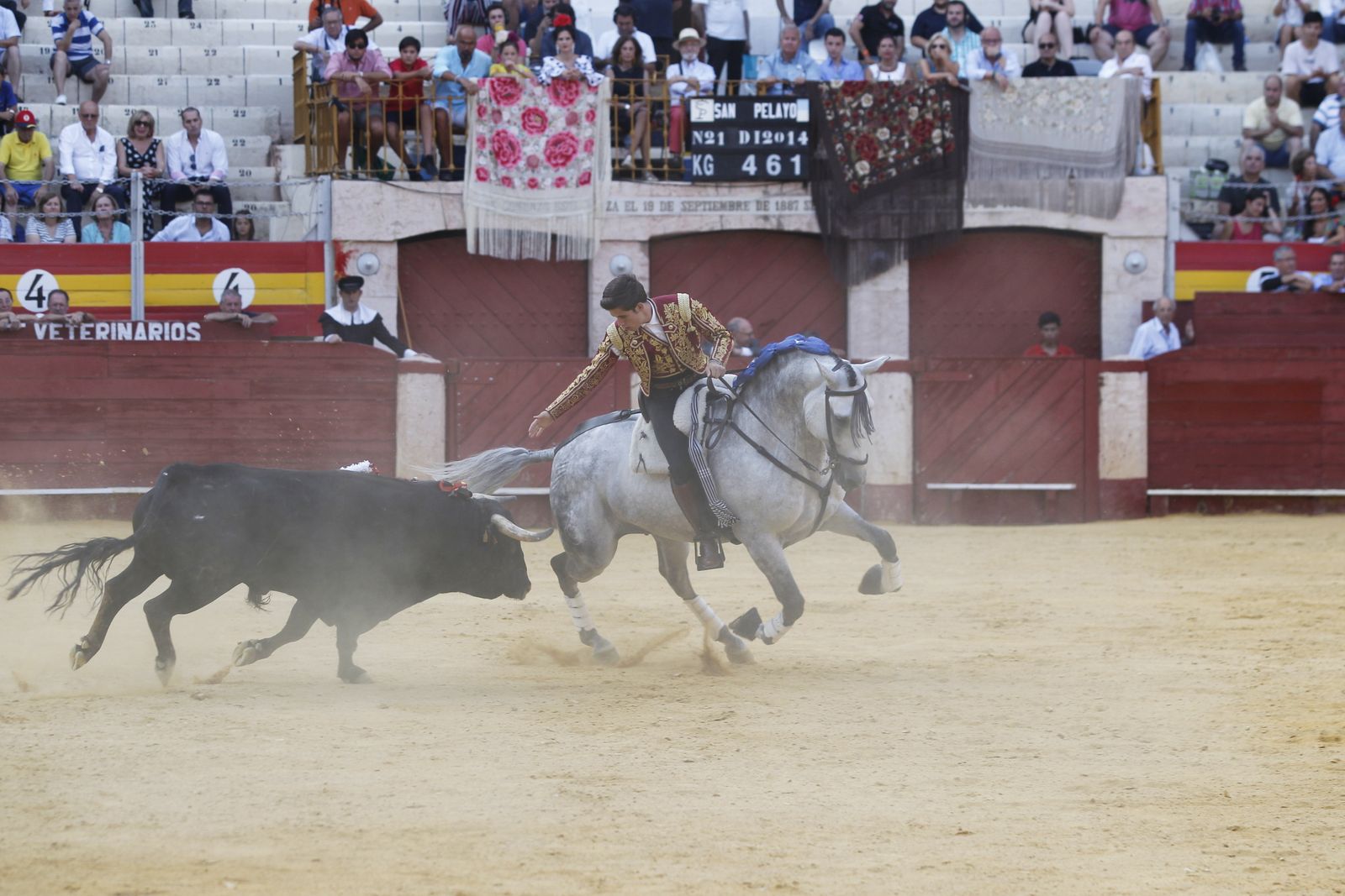 Fotogalería corrida de rejones. Feria de Almería 2019