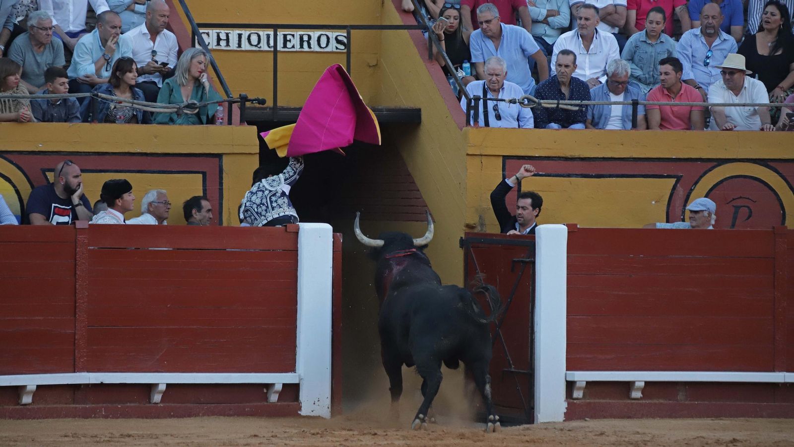 Un toro regresa a los chiqueros en la plaza de toros de Las Palomas de Algeciras. Un toro regresa a los chiqueros en la plaza de toros de Las Palomas de Algeciras.