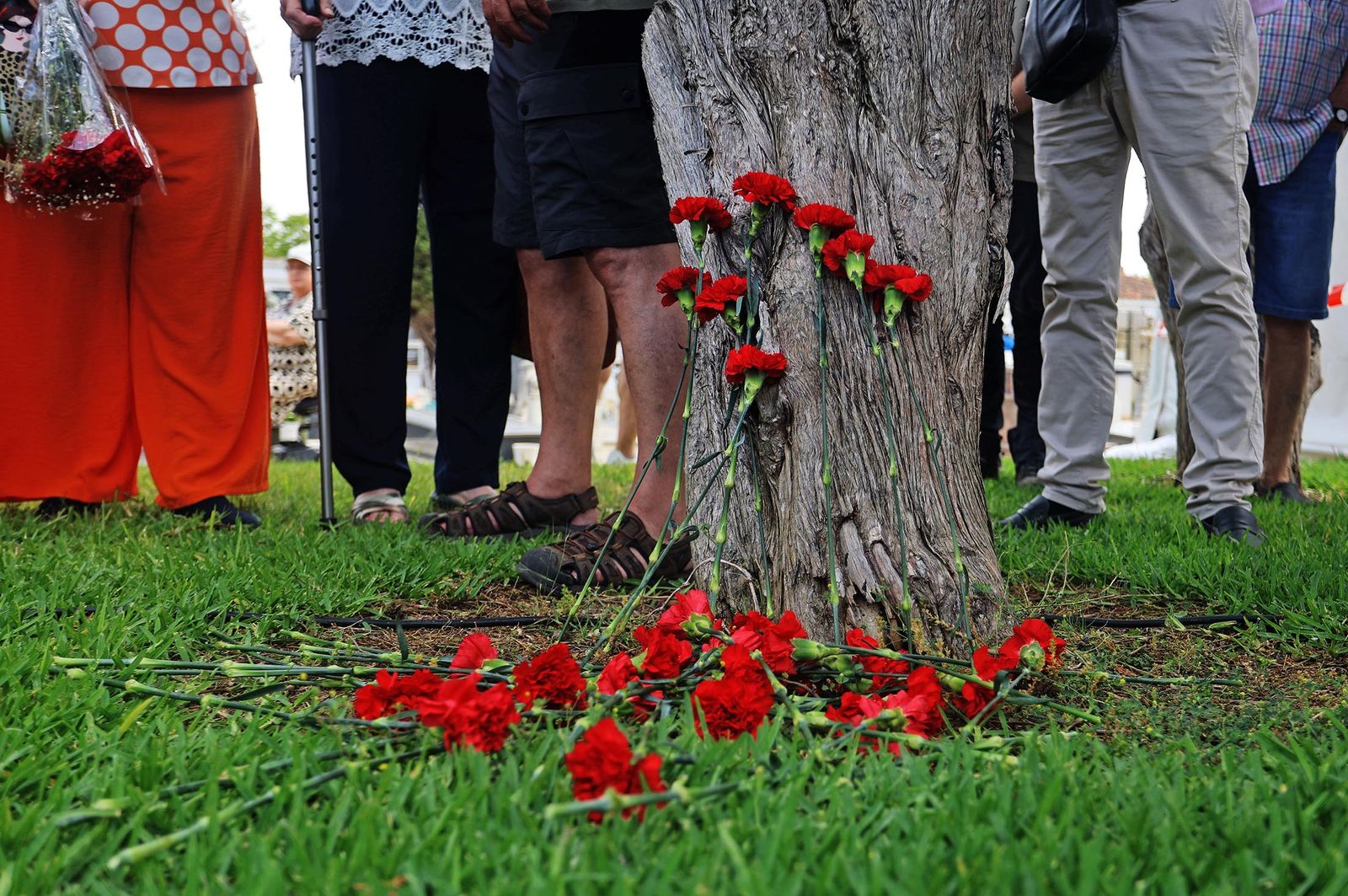Imágenes de la visita a los trabajos de exhumación en las fosas comunes del Cementerio de La Soledad