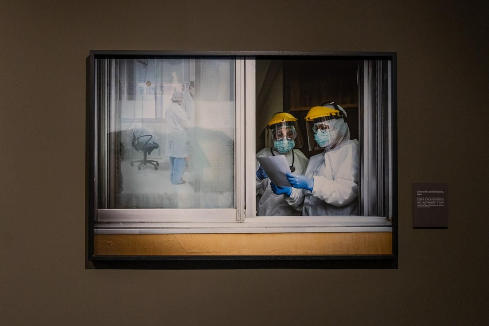 One Health en imágenes: la fotogalería de Katy Gómez que te hará reflexionar sobre la salud global