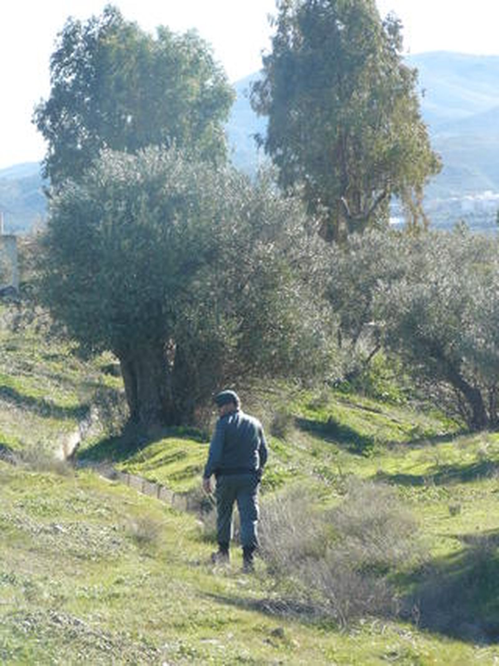 Foto: Rafael Espino / EFE