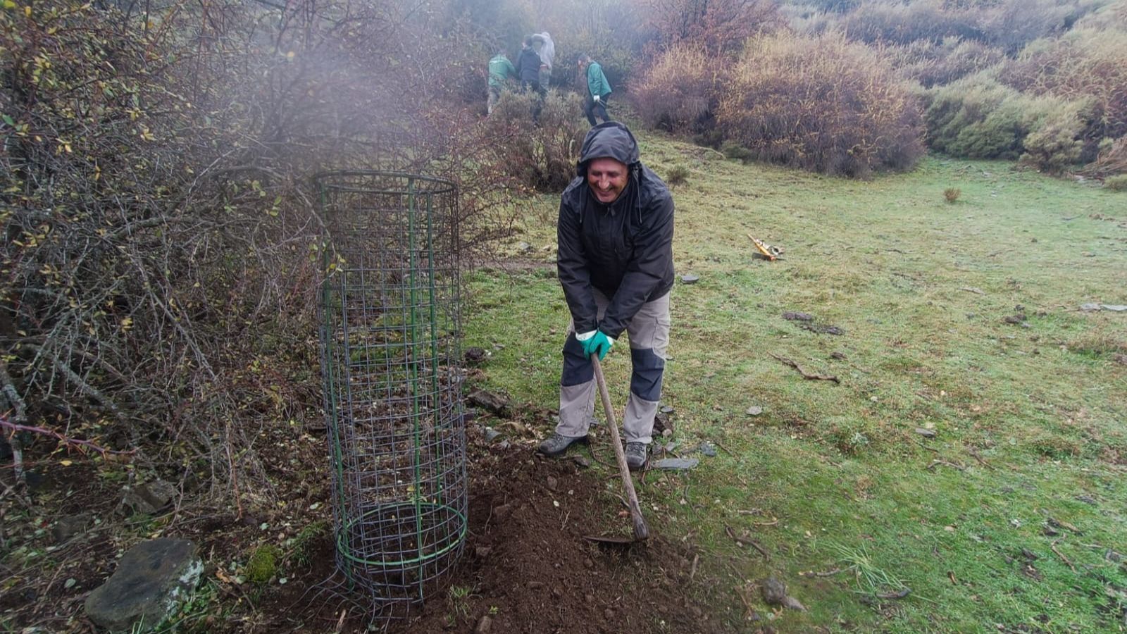 Plantación de Solenanthus reverchonii
