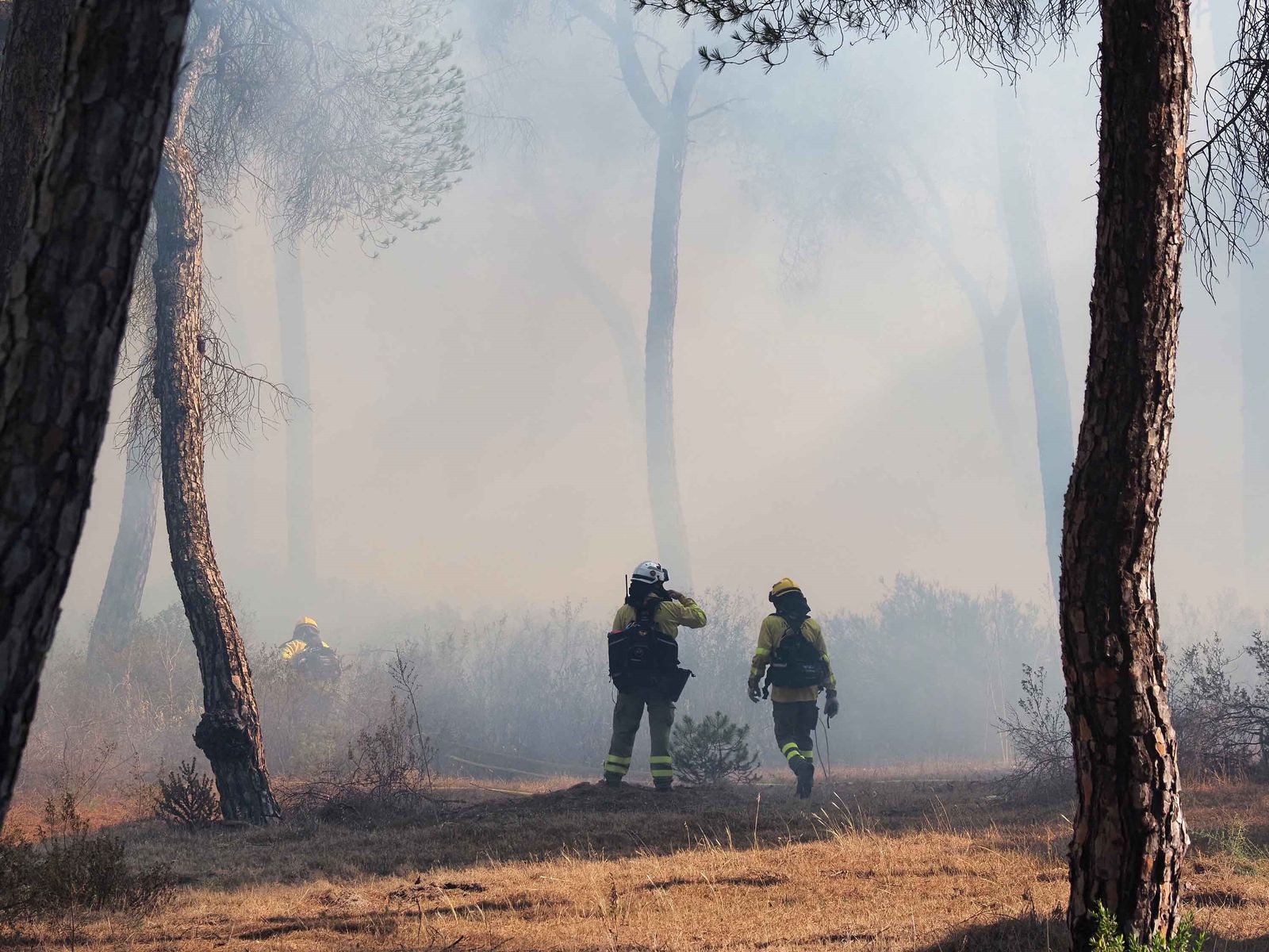 El Plan Infoca mantiene efectivos en el paraje de Malpica en Cartaya.