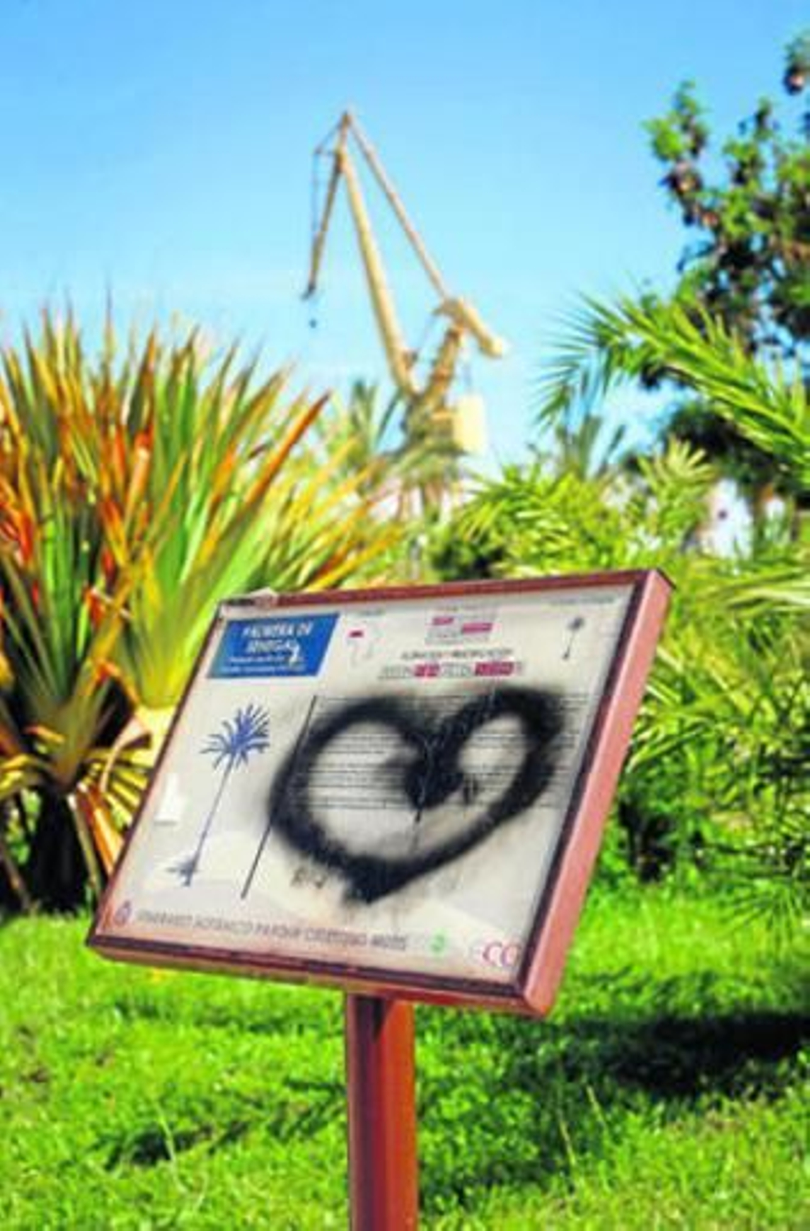 1. Un cartel con pintadas en el parque Celestino Mutis en el barrio de Astilleros. 2. Monolito sin letras en el Cinco Continentes. 3. Un cartel apoyado en la zona arqueológica de Varela. 4. Los patos en la zona seca del Parque Genovés, la más antigua de todas las zonas verdes que hay ahora mismo en la ciudad. 5. Un niño juega en la zona infantil de Varela en un aparato con pintadas, 6. Más pintadas, en este caso en el suelo, en el Parque Celestino Mutis. REPORTAJE FOTOGRÁFICO: JULIO GONZÁLEZ.