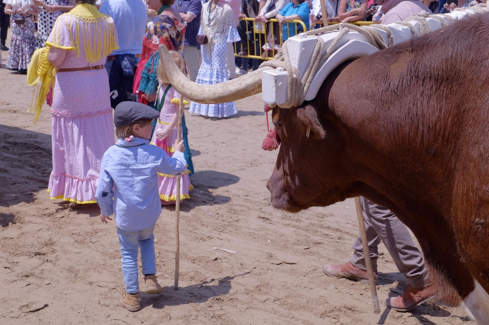 Las imágenes de las presentaciones en El Rocío