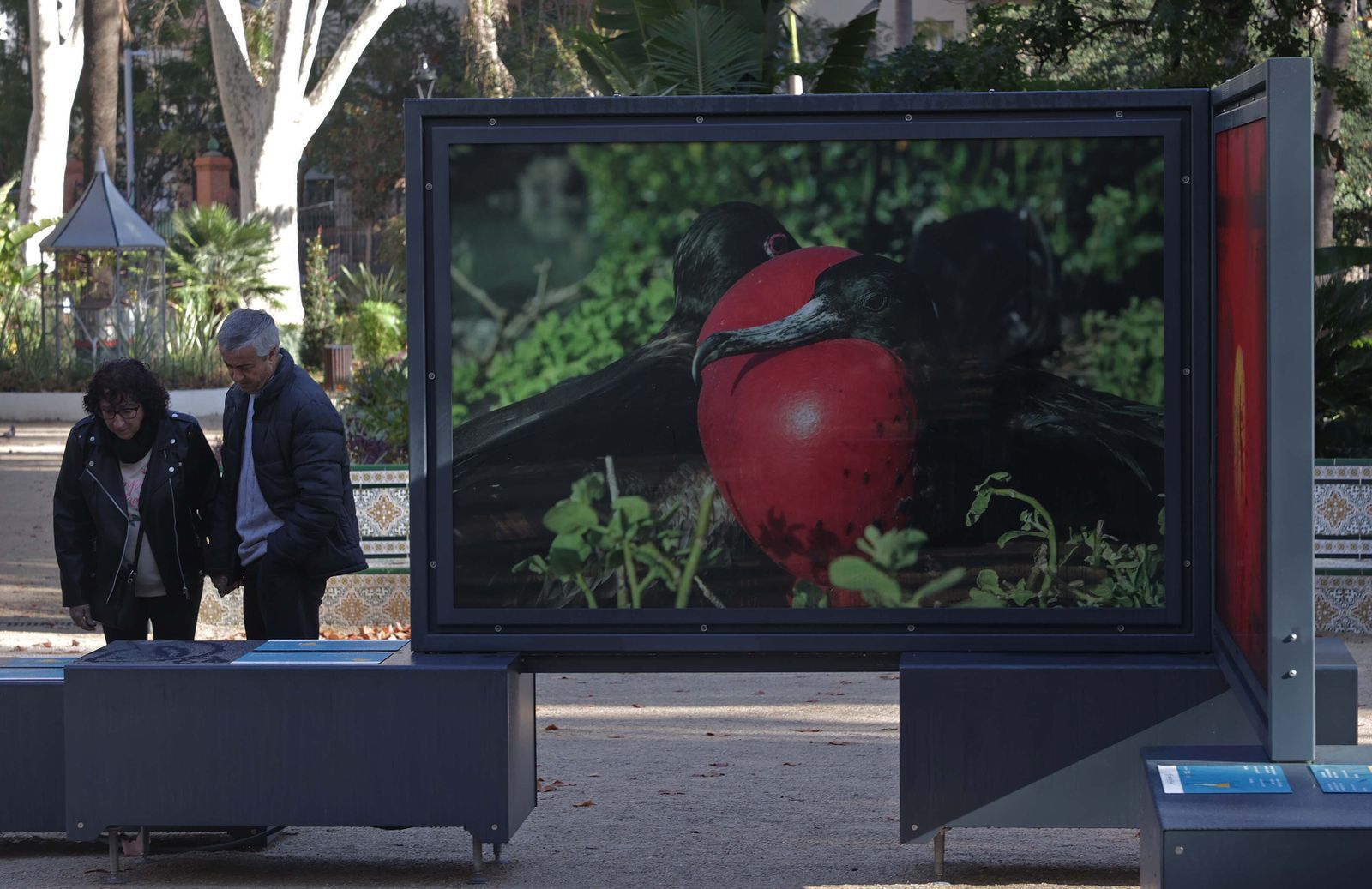 La exposición 'Colores del Mundo' del parque María Cristina de Algeciras, en imágenes