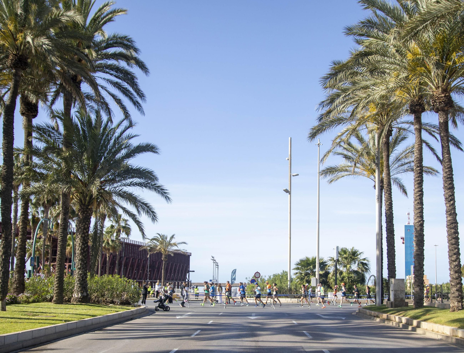 El Medio Maratón de Almería 2025, en imágenes