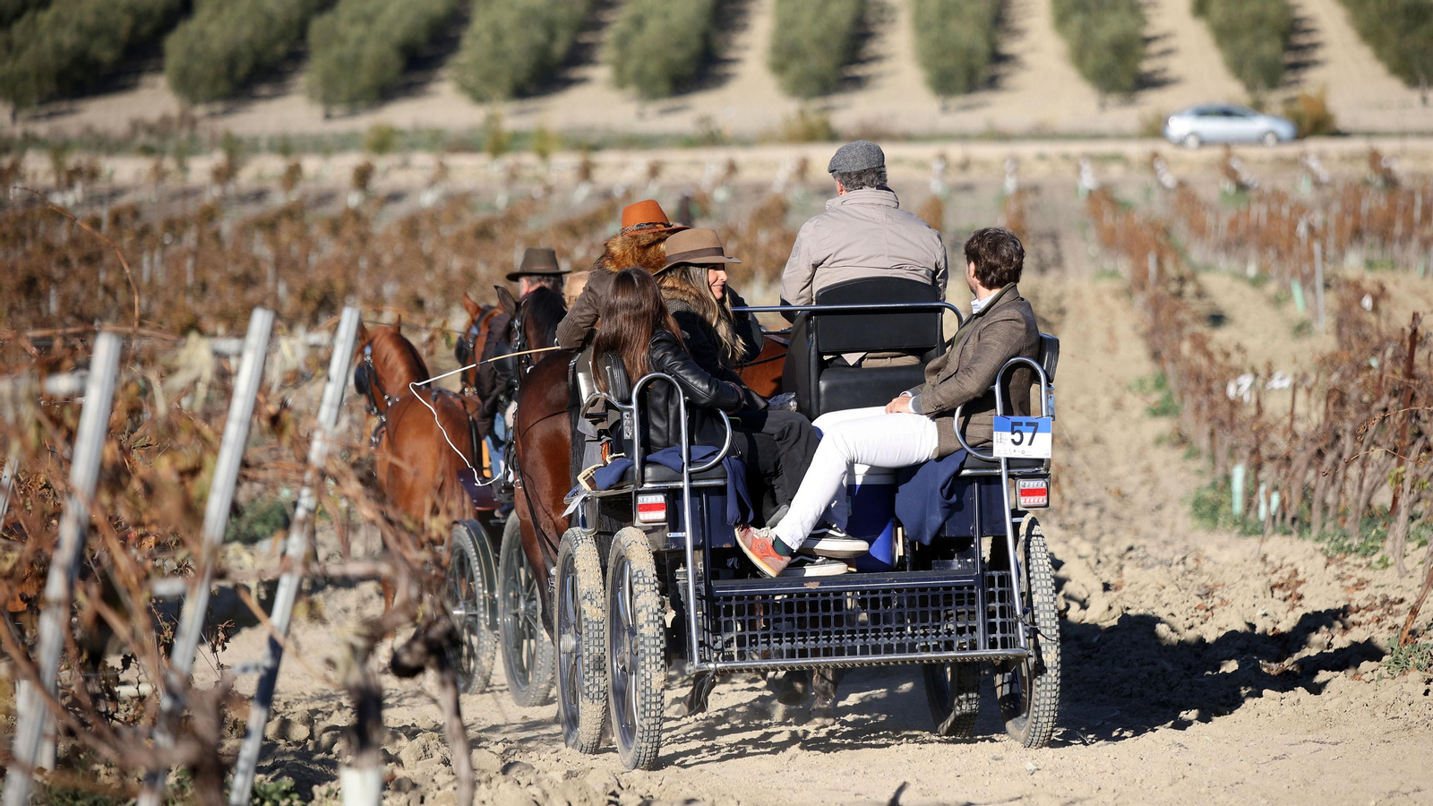 II Ruta Viñas de Jerez