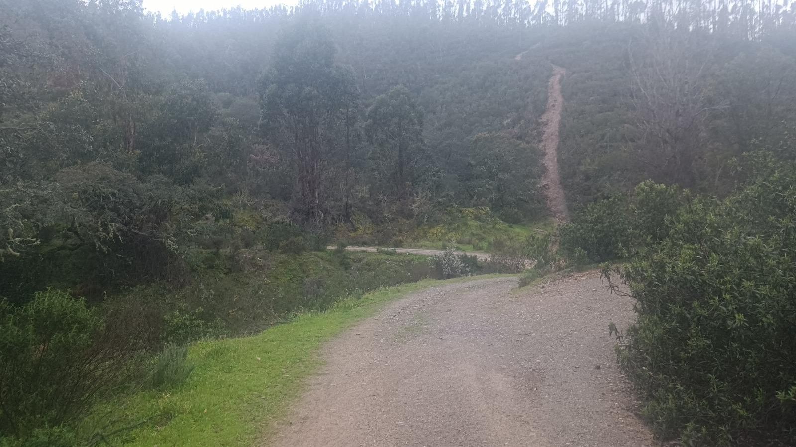 El trazado serpentea un poco por el Barranco de los Molinos.