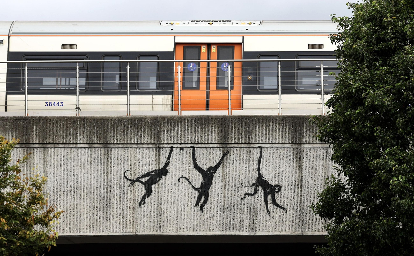 La serie animal del artista Banksy, al completo