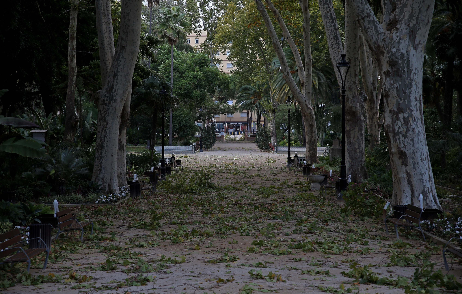 El paso de la borrasca Aline por Algeciras, en imágenes