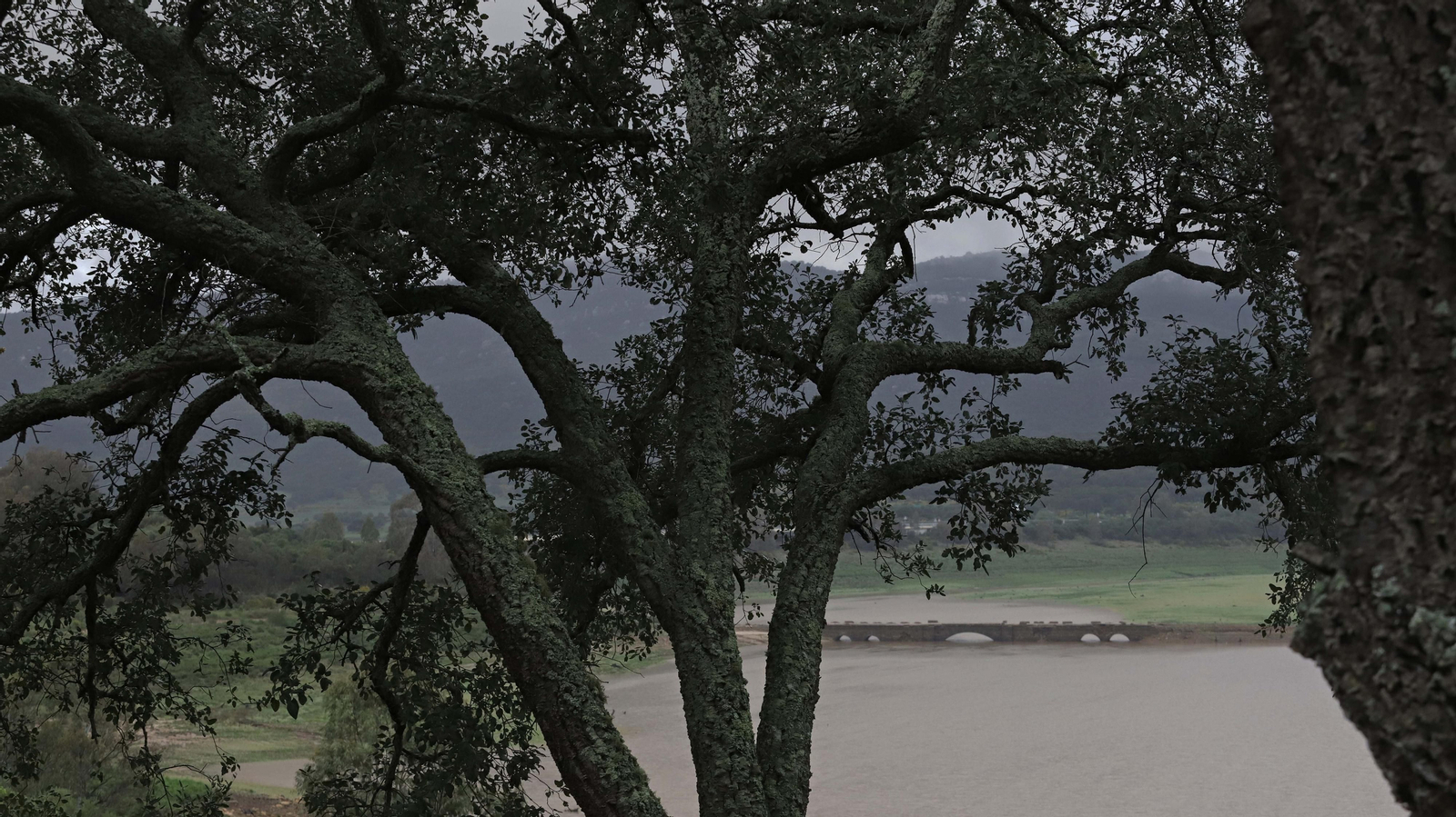 Fotos del pantano de Charco Redondo