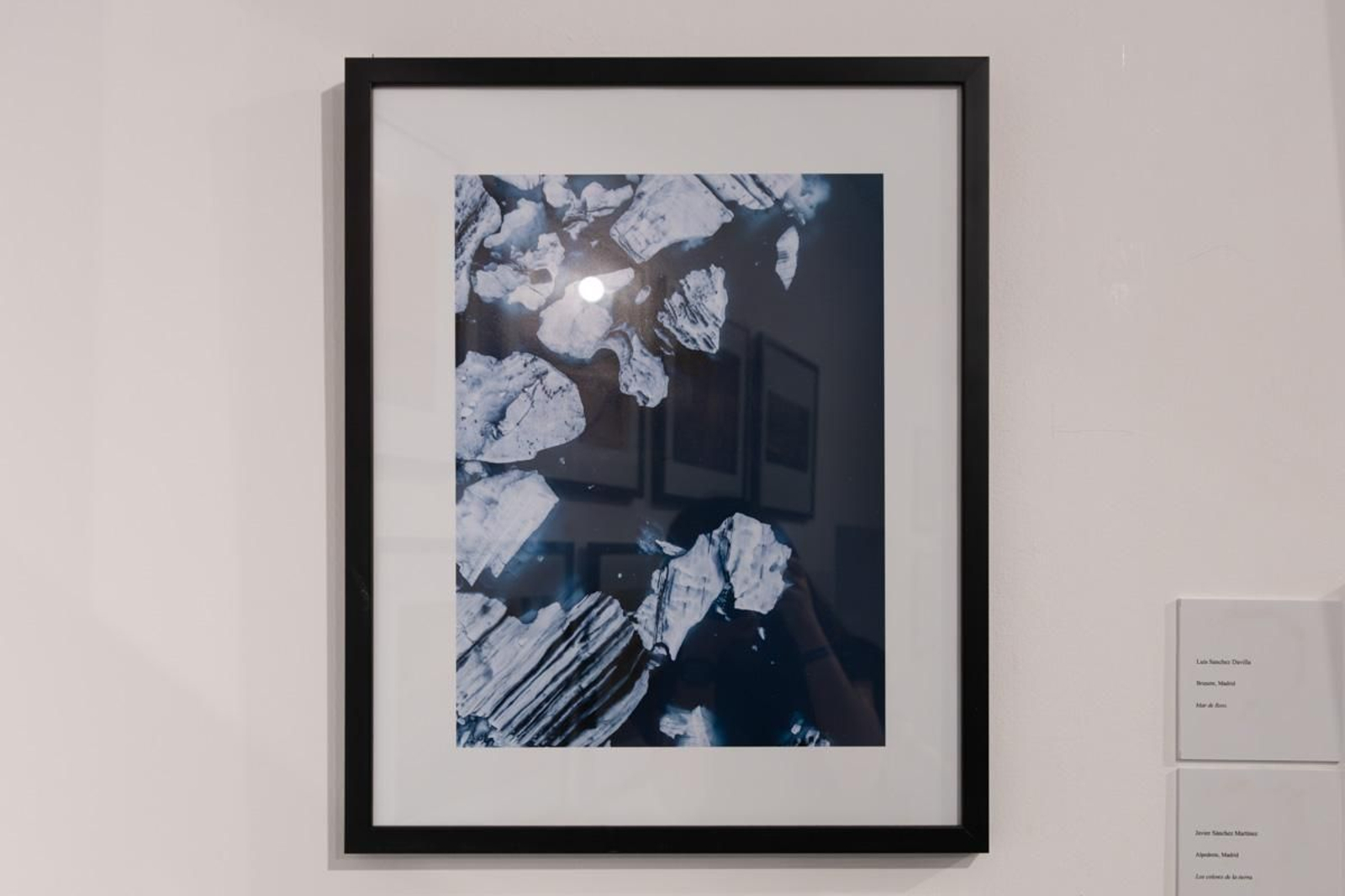 Exposición La Tierra, corazón de la vida, en imágenes