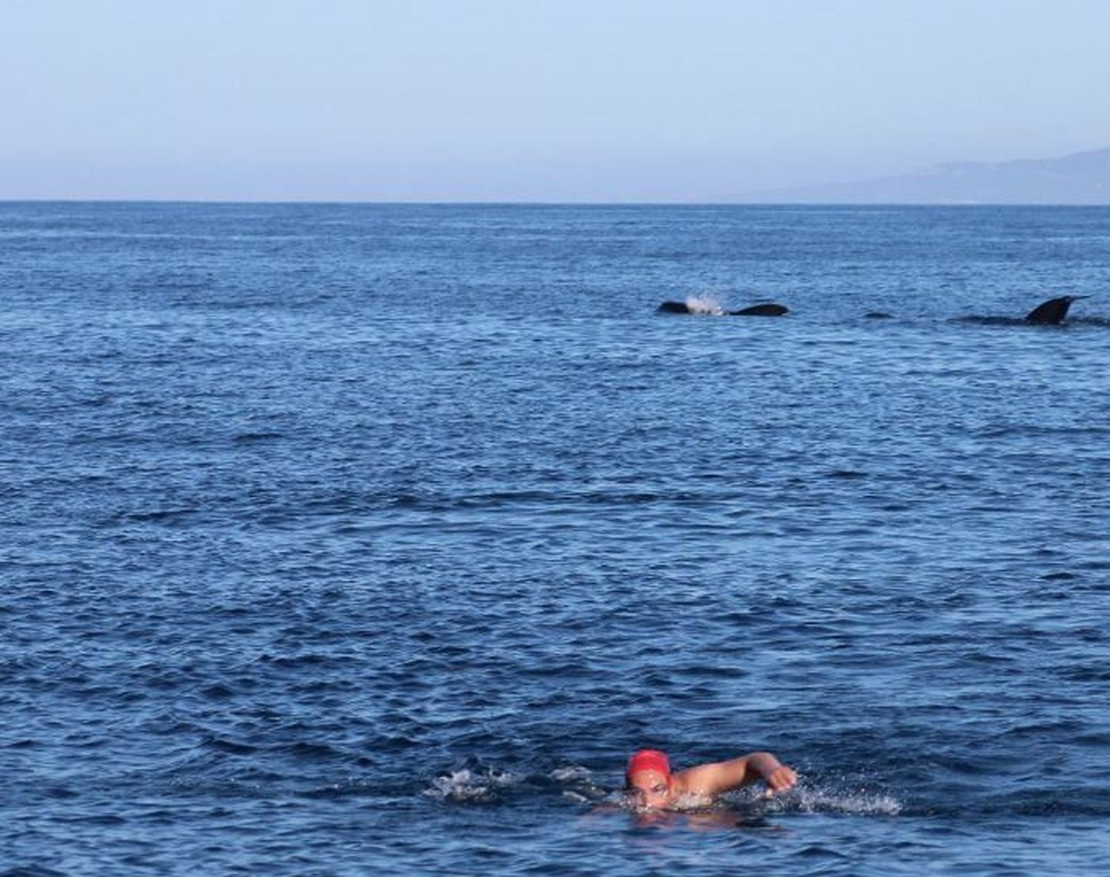 El británico Ratcliffe, en pleno cruce a nado del Estrecho de Gibraltar.
