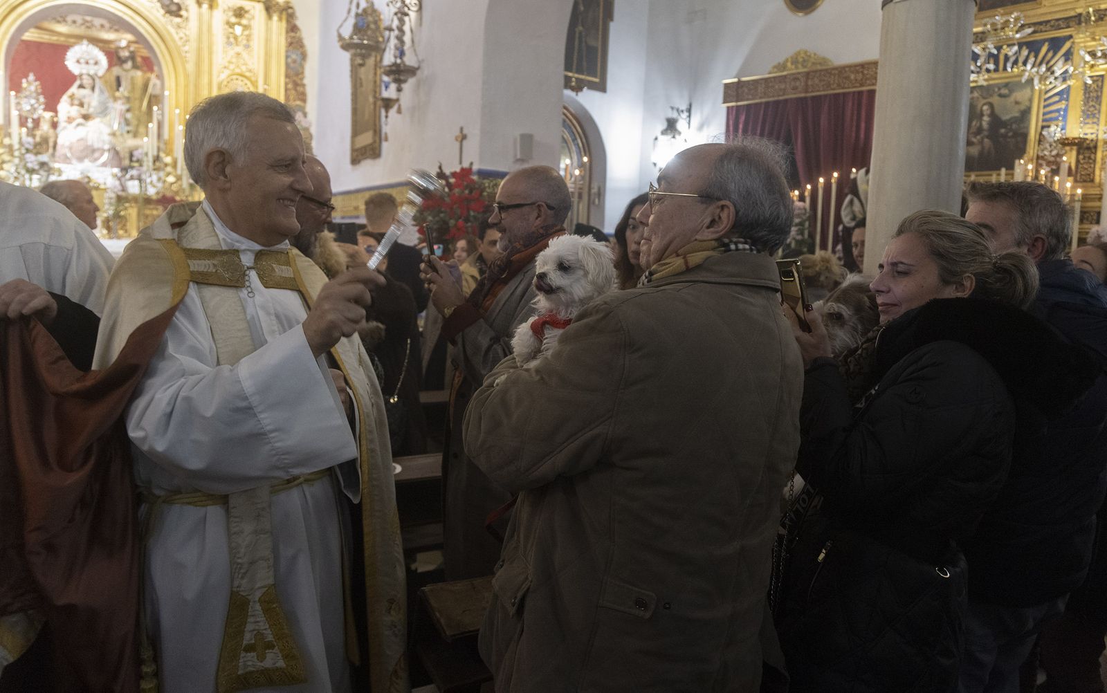 Bendición de animales por San Antón en la Divina Pastora, todas las fotos