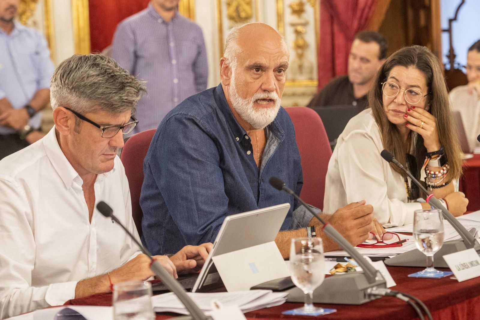 El diputado Javier Vidal explica el plan en el pleno provincial.