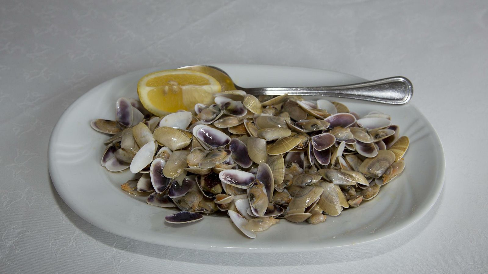 Coquinas de la bahía.