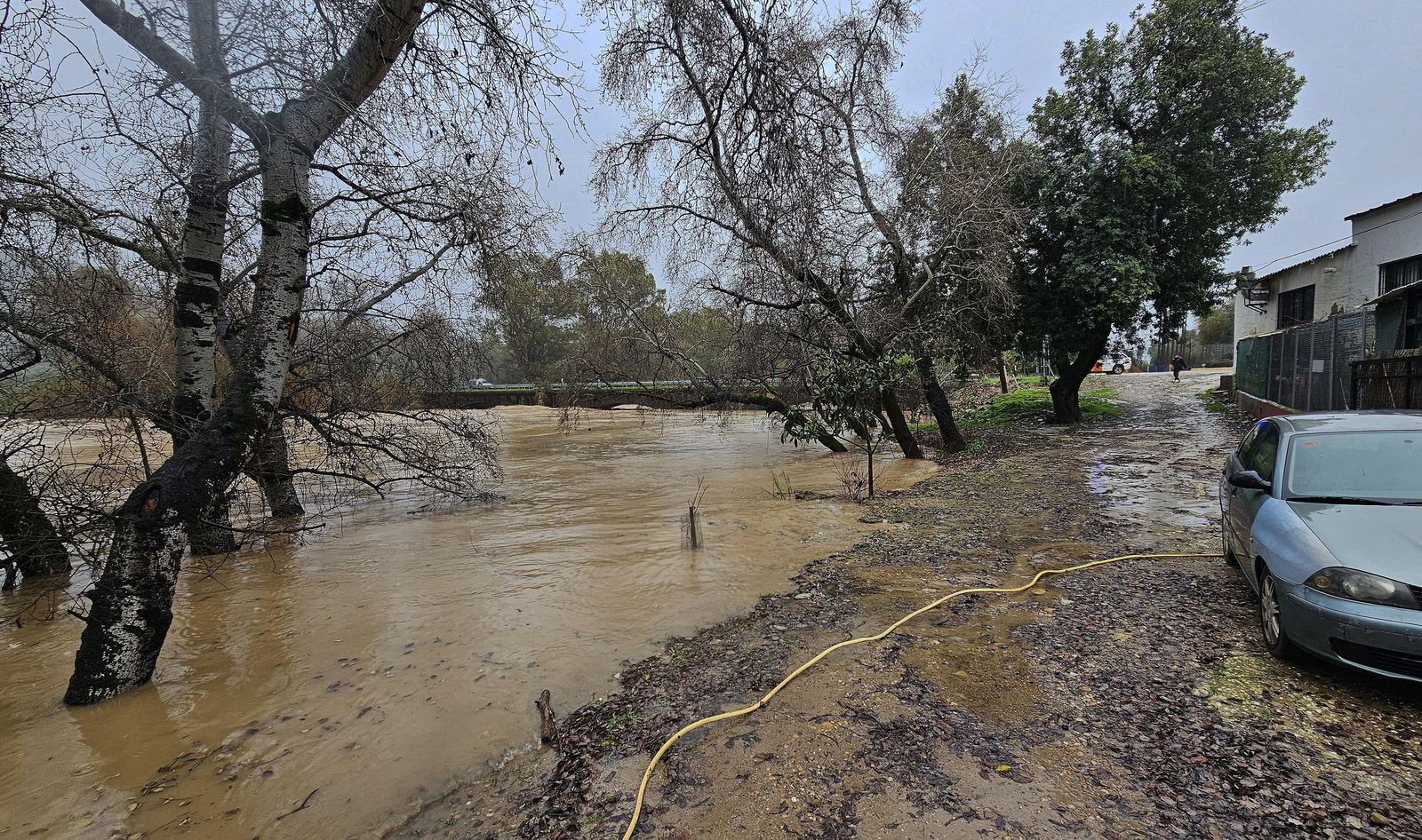 Fotos del temporal de lluvia y viento por la borrasca Kristin en Jimena de la Frontera, San Pablo de Buceite y San Martín del Tesorillo