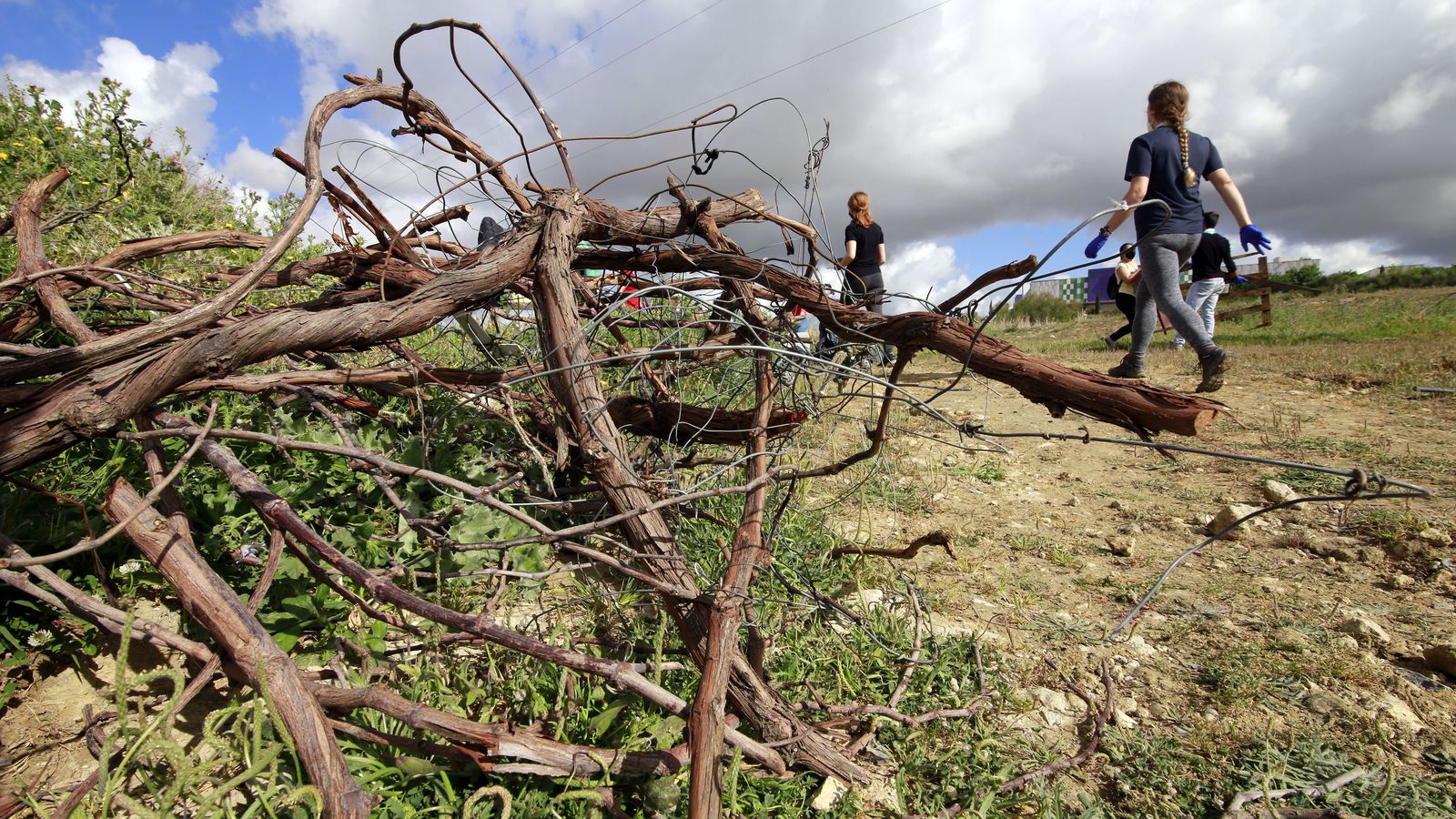 Gran recogida de Zero Waste Jerez con casi 40 voluntarios