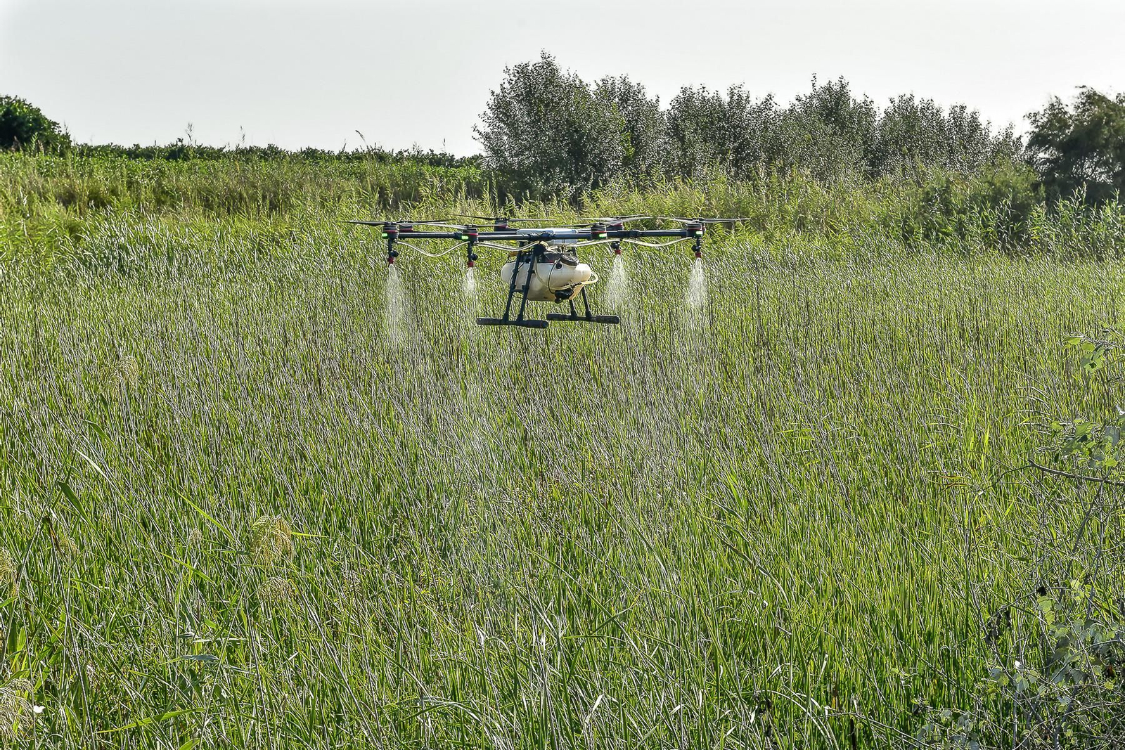 Así trabajan los drones que fumigan los mosquitos