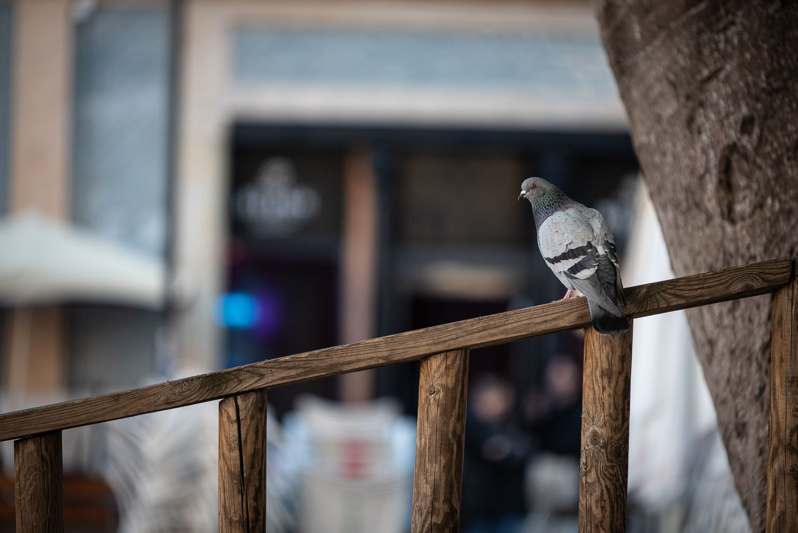 Imágenes del viernes 27 de enero en Huelva