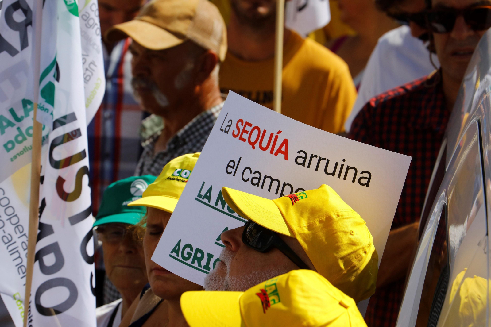 La protesta del sector agrario contra las políticas de la UE en Córdoba, en imágenes