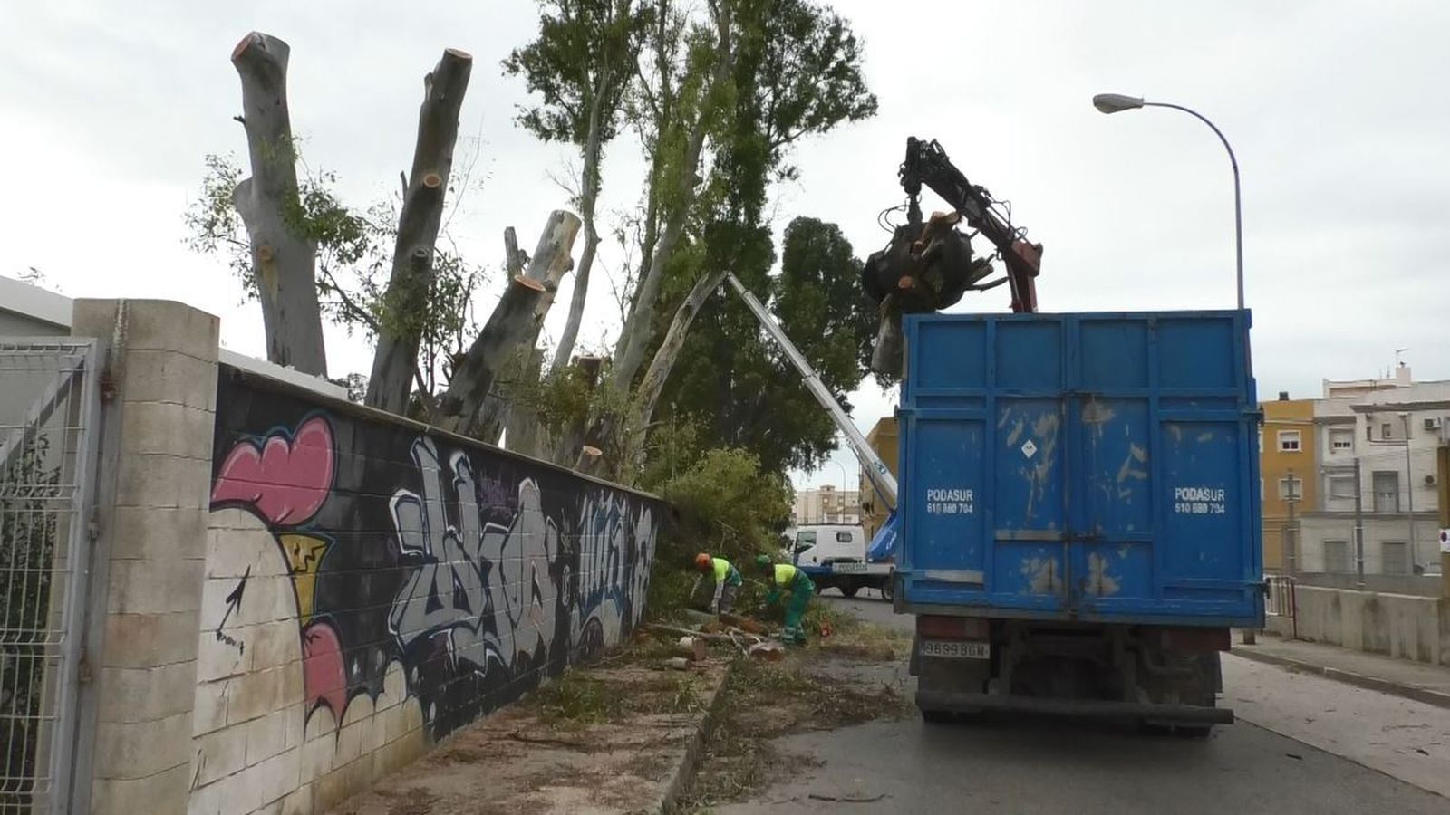 Tala de eucaliptos en el campo de fútbol del Virgen del Carmen, este viernes