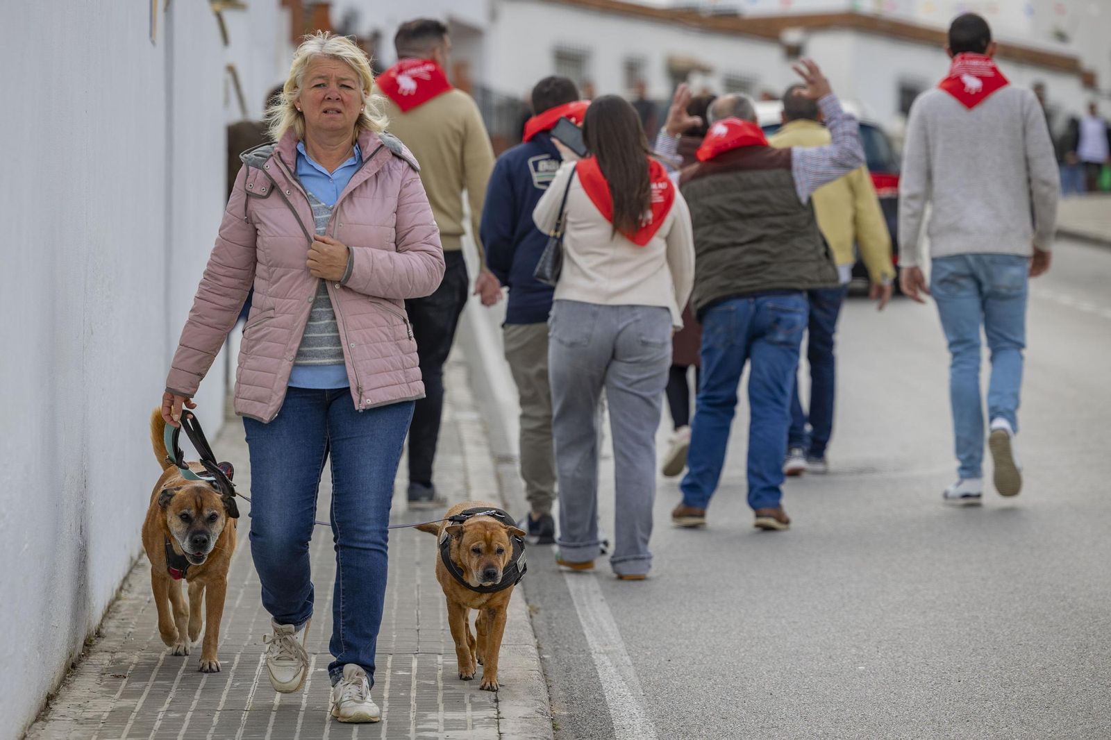 Las imágenes del Toro Embolao de Vejer 2025