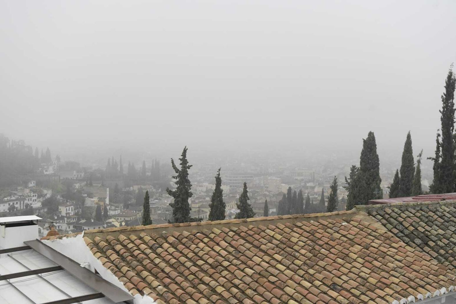 La niebla que ha cubierto Granada este miércoles, en imágenes