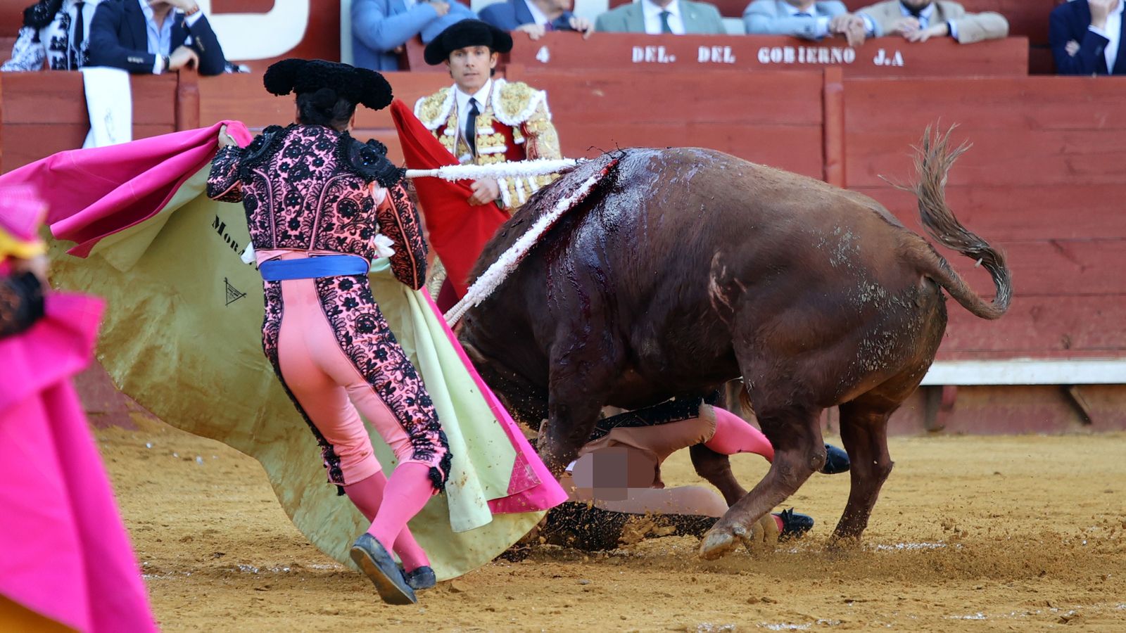 Última tarde de toros de la Feria de Jerez 2024 con Morante, Manzanares y Castella