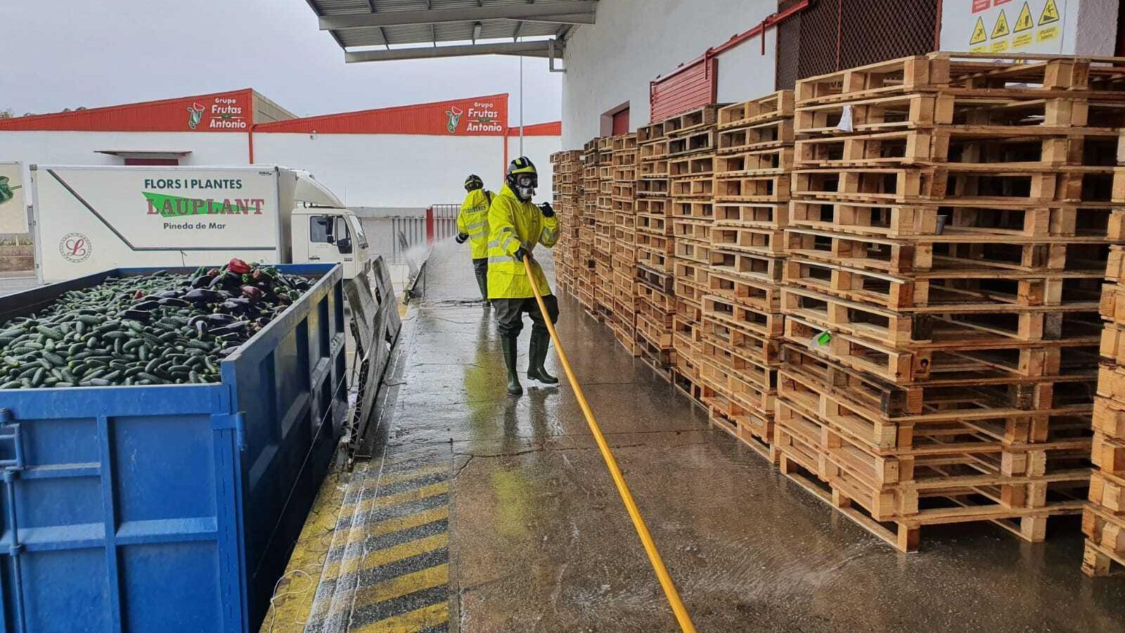 Trabajos de desinfección