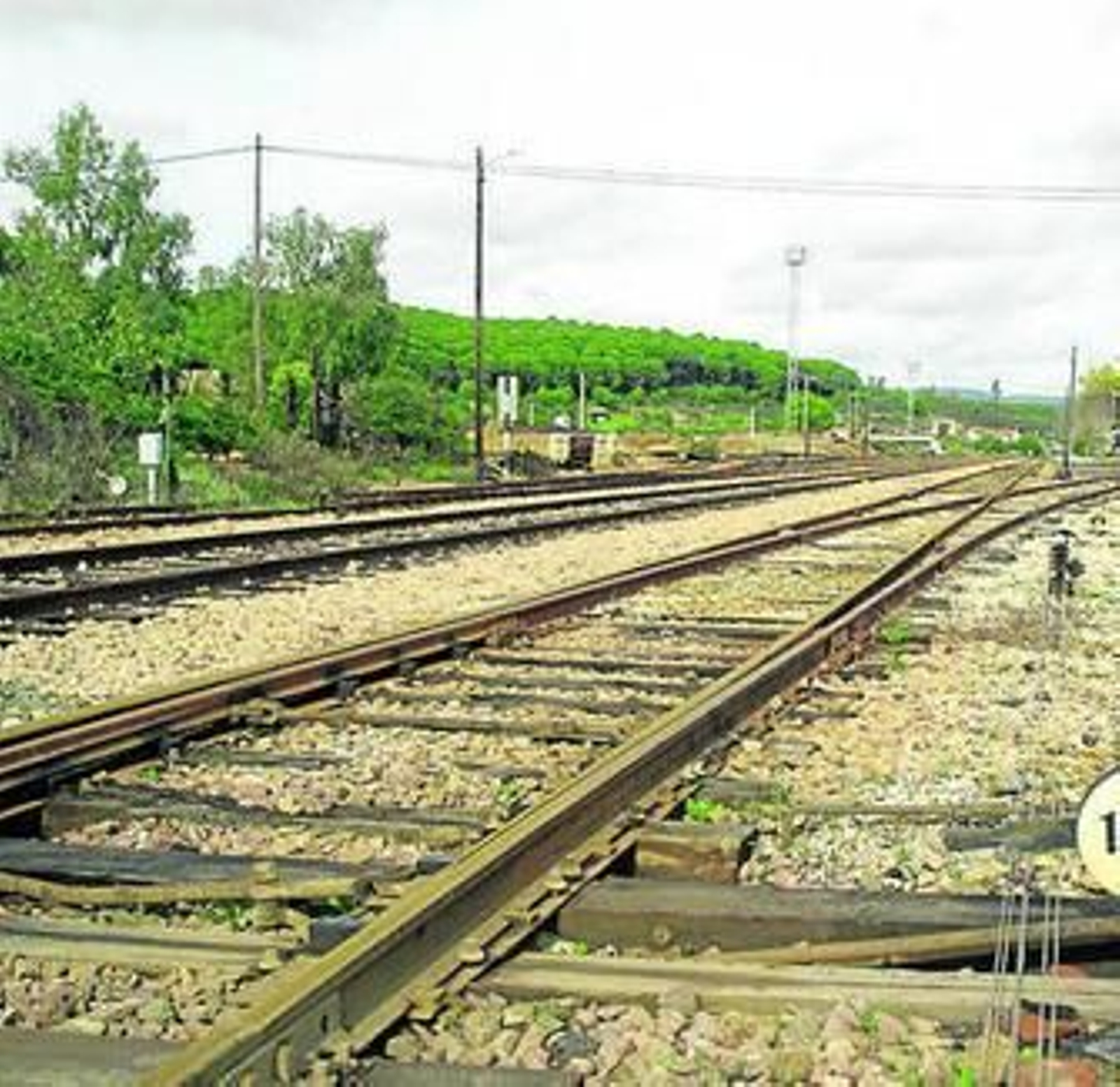 Raíles de la línea Huelva-Zafra a la altura de Valdelamusa.
