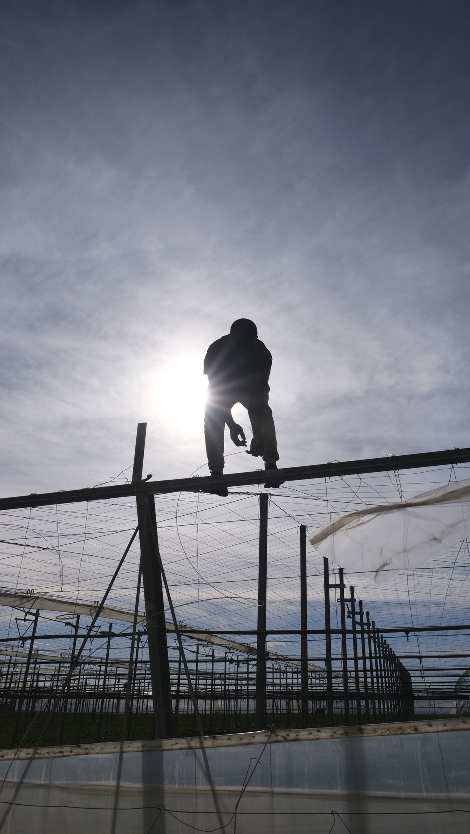 Los efectos del temporal de viento en los invernaderos, en imágenes