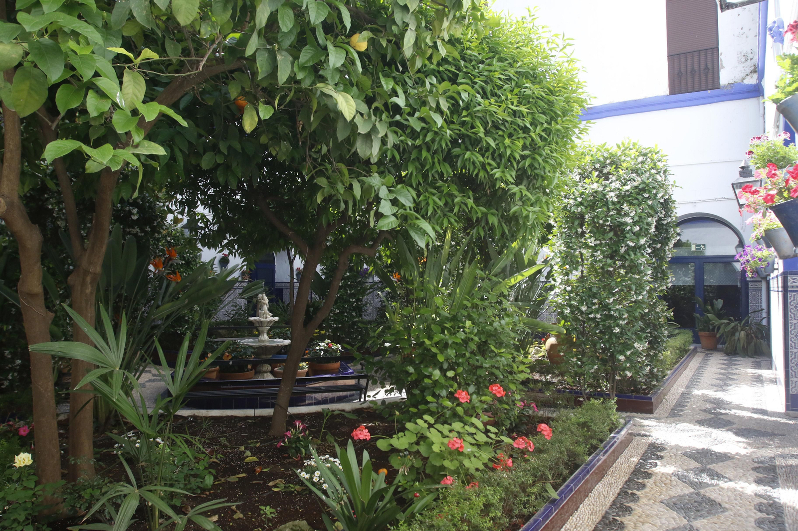 Ruta Judería - San Francisco de los Patios de Córdoba, en imágenes