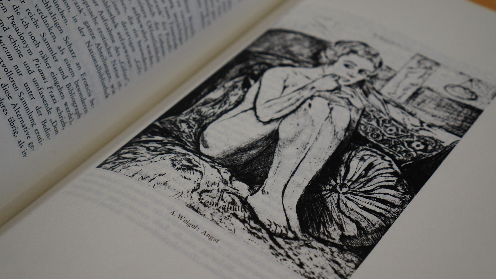 Ilustración de uno de los volúmenes.