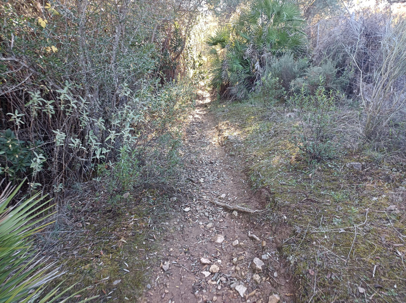 Ruta de Las Cañadillas