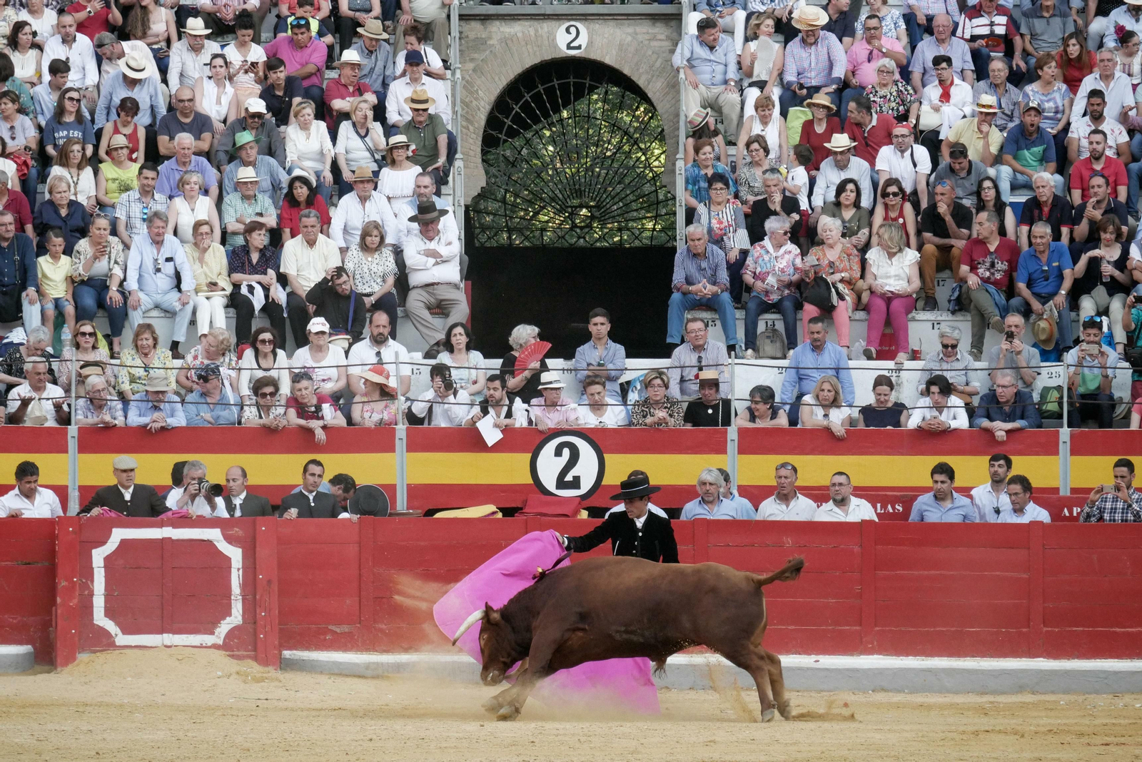 Festival taurino a beneficio de Down Granada