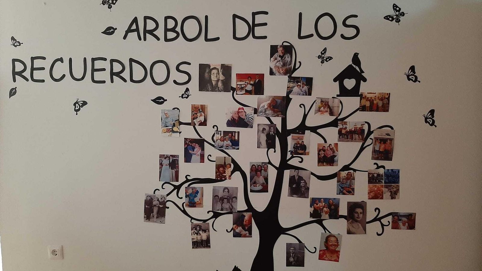 Árbol de los Recuerdos, actividad del Día Mundial del Alzheimer. Árbol de los Recuerdos, actividad del Día Mundial del Alzheimer.