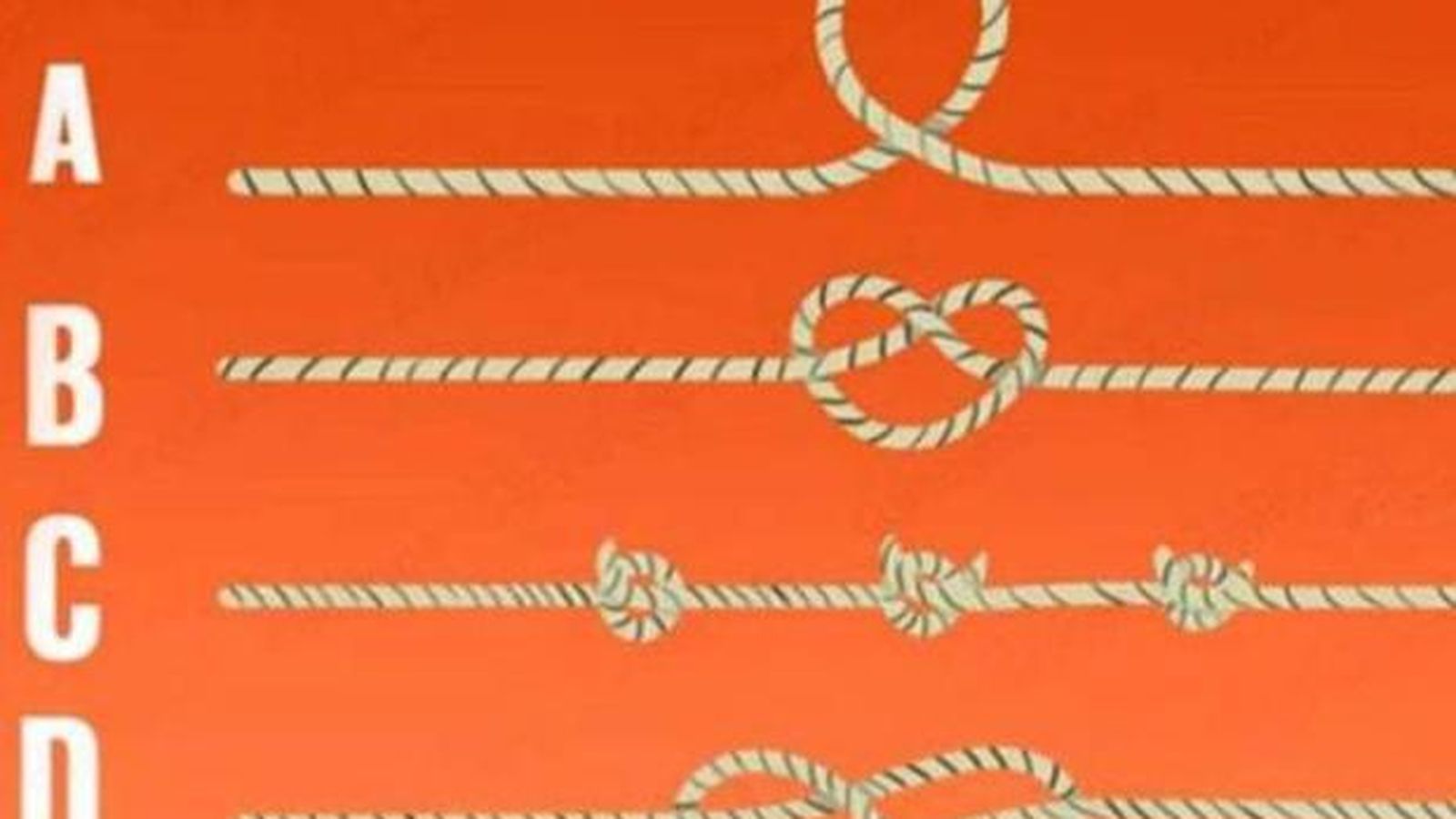 ¿Qué opción es la correcta?