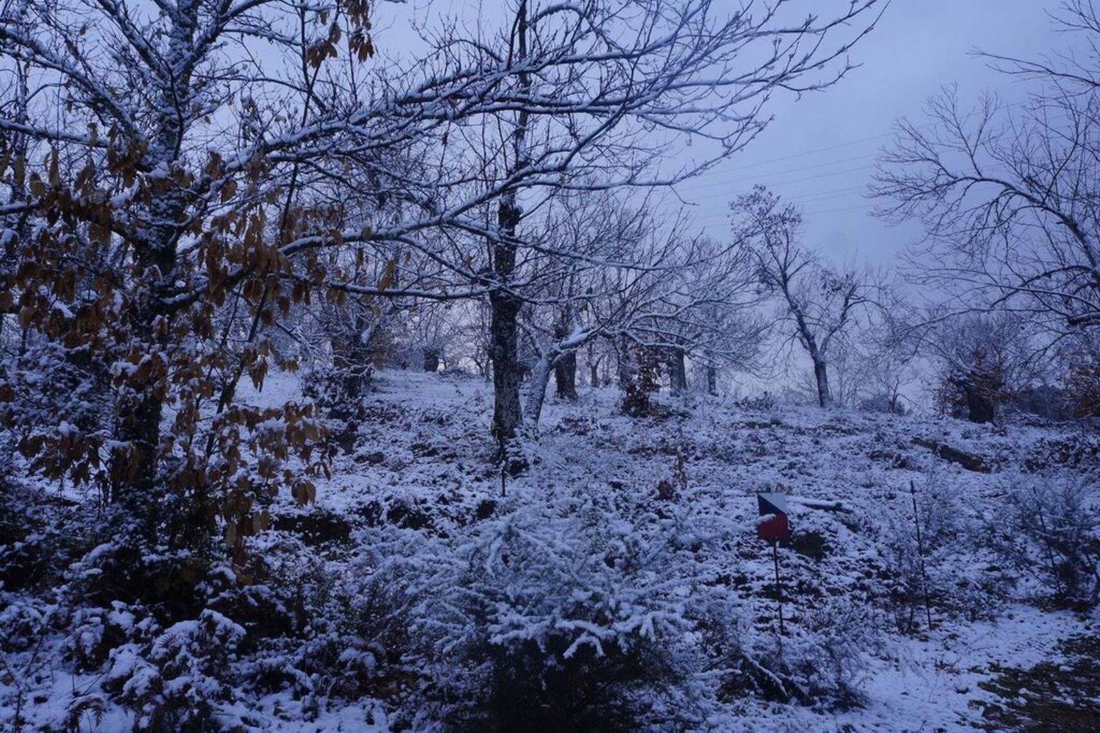 La Sierra de Aracena completamente nevada: dos años después de Filomena