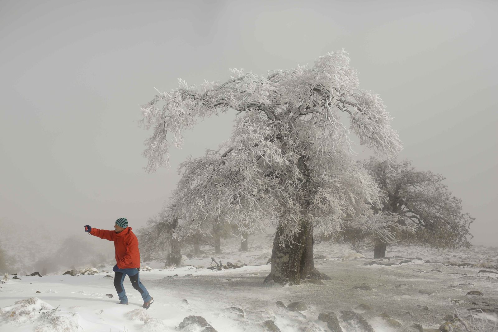 Manto blanco sobre la Sierra de las Nieves