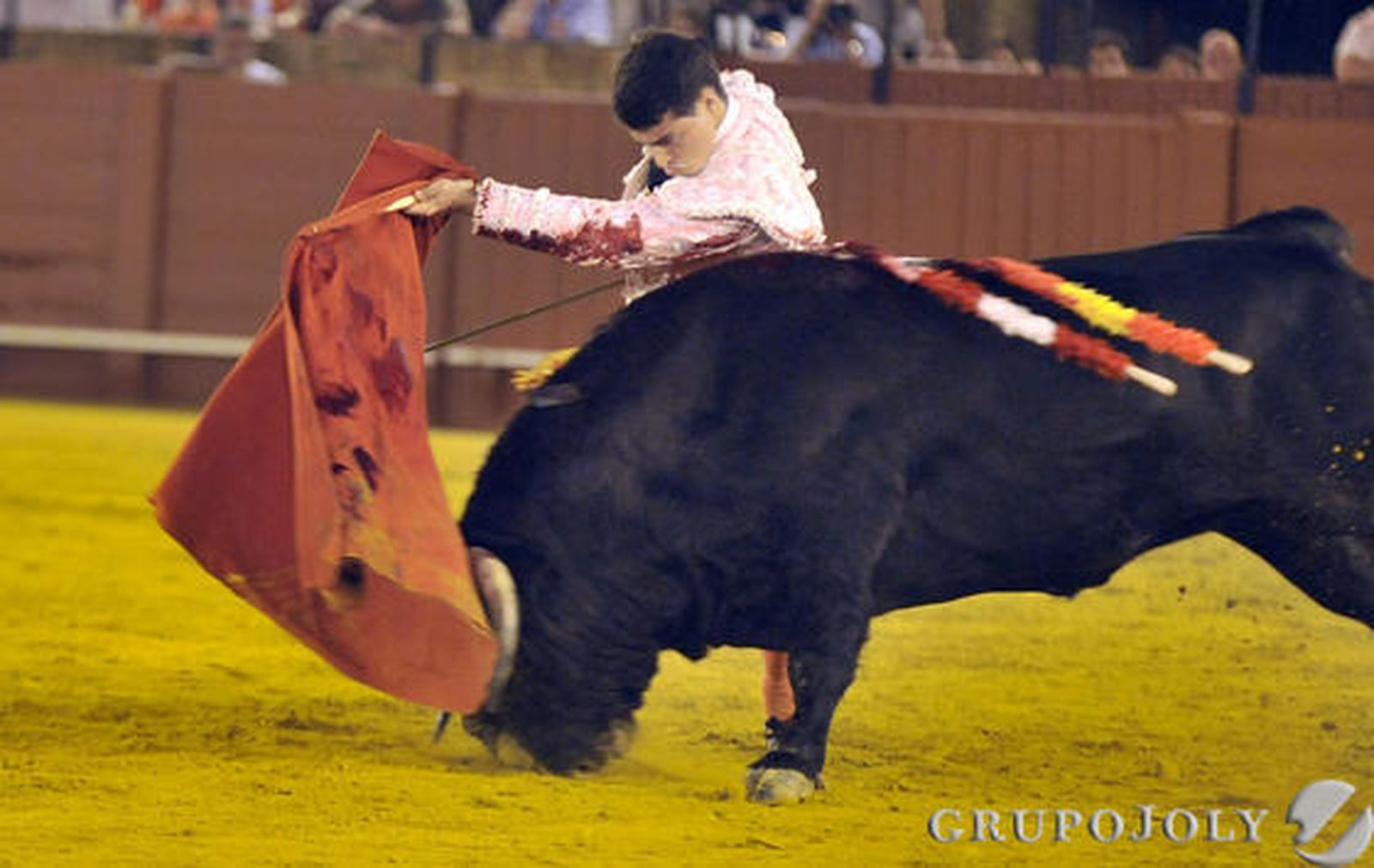 Juan Carlos Carballo cerró las novilladas con el sexto novillo.

Fotos: Juan Carlos Vázquez