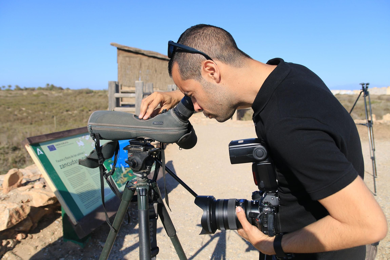 Las imágenes de las Salinas de Cabo de Gata recuperadas y con flamencos
