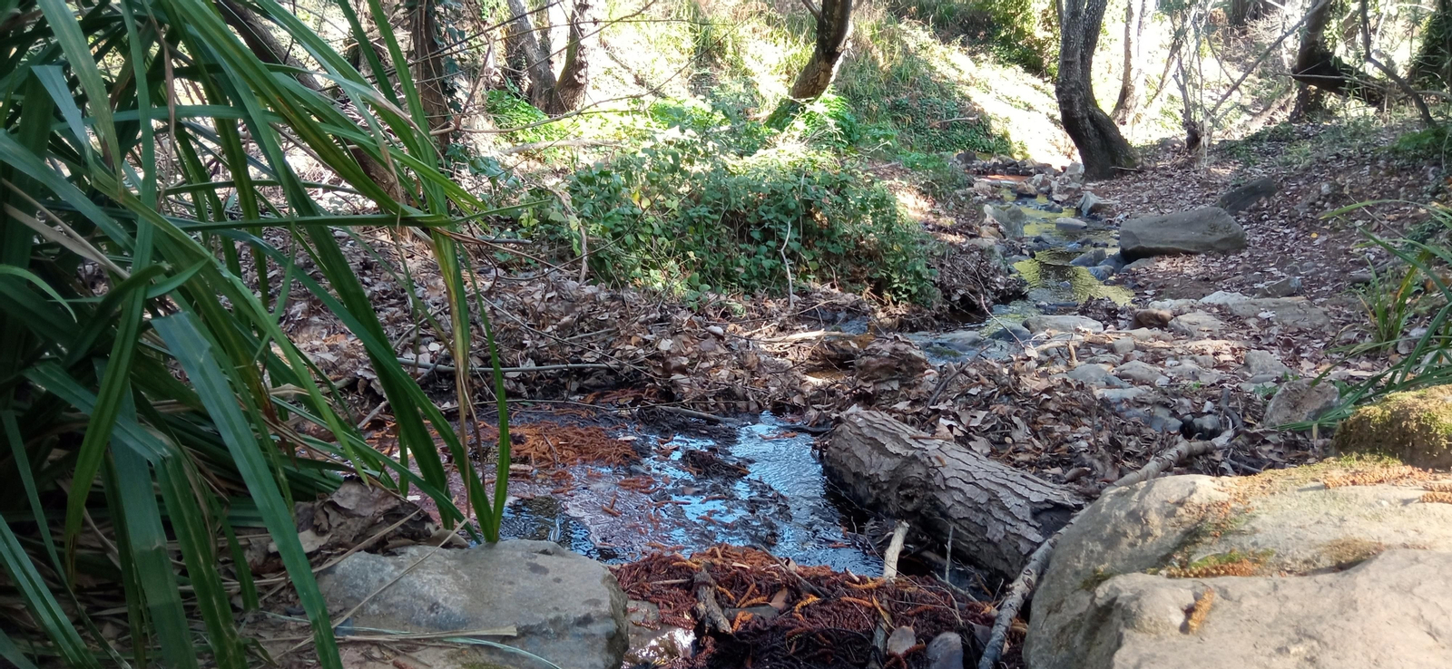 Las imágenes de la ruta de la cascada de Jollarancos y bosque de las letras