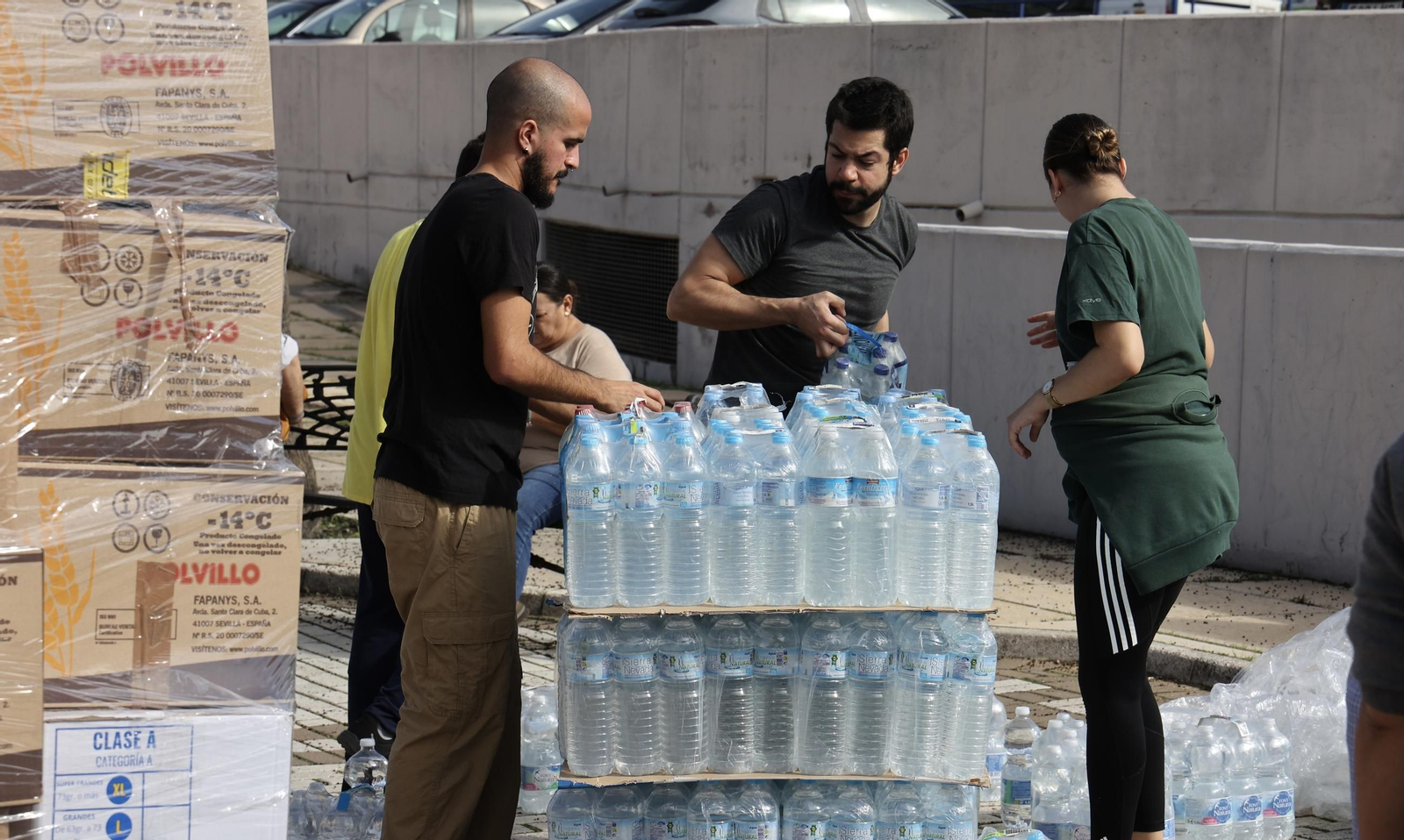 Recogida de alimentos para Valencia