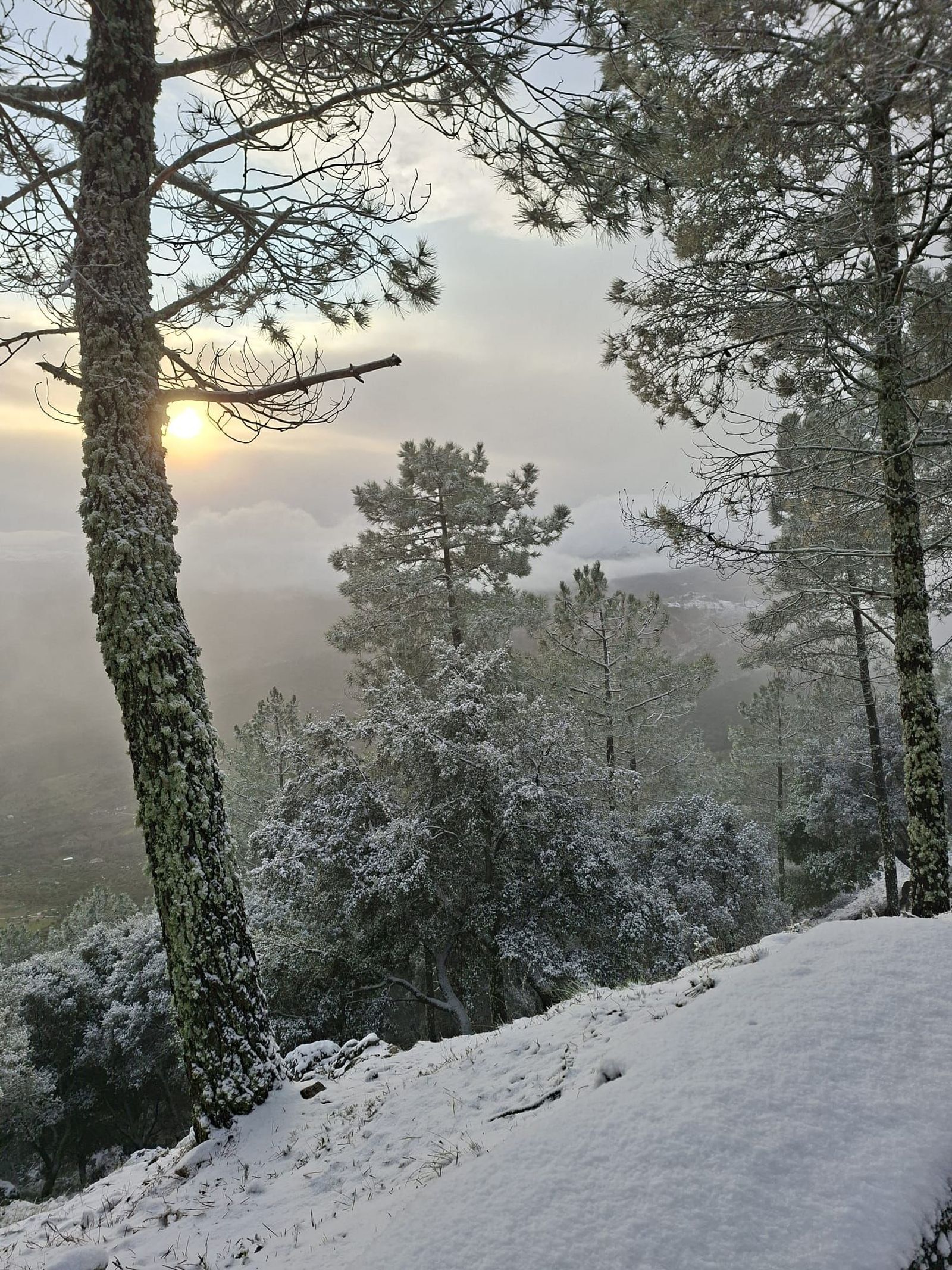 Nevada en Grazalema 2026