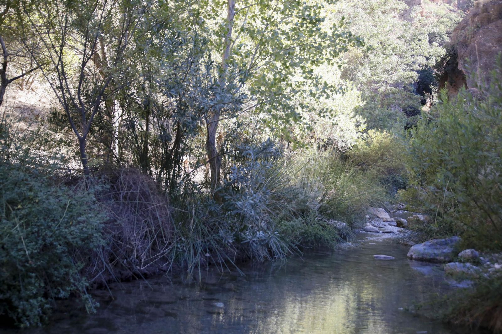 Las imágenes de 'El Molinillo de la Abuela', en las Canales de Padules